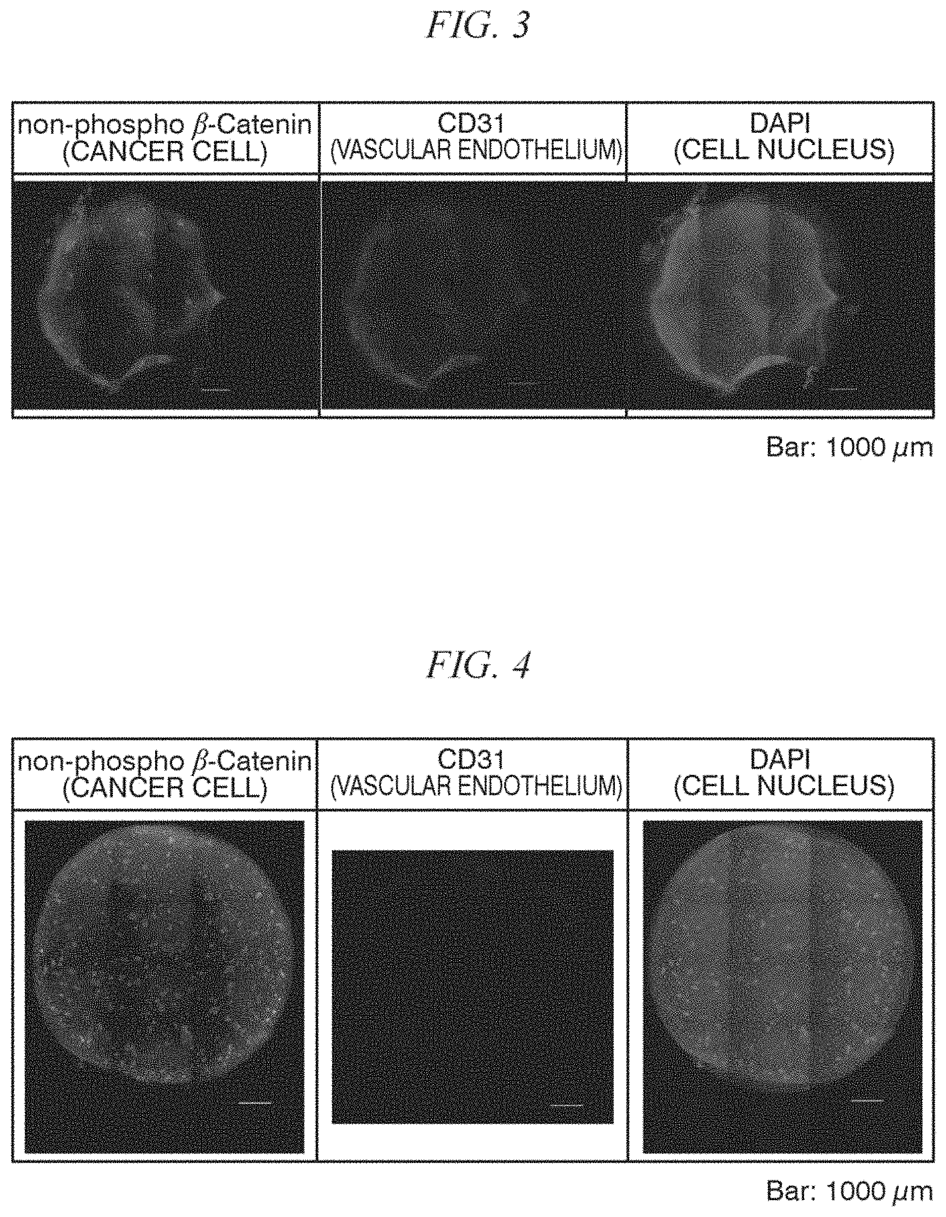 Patent US11781115 Figure 3 – Primary culture method