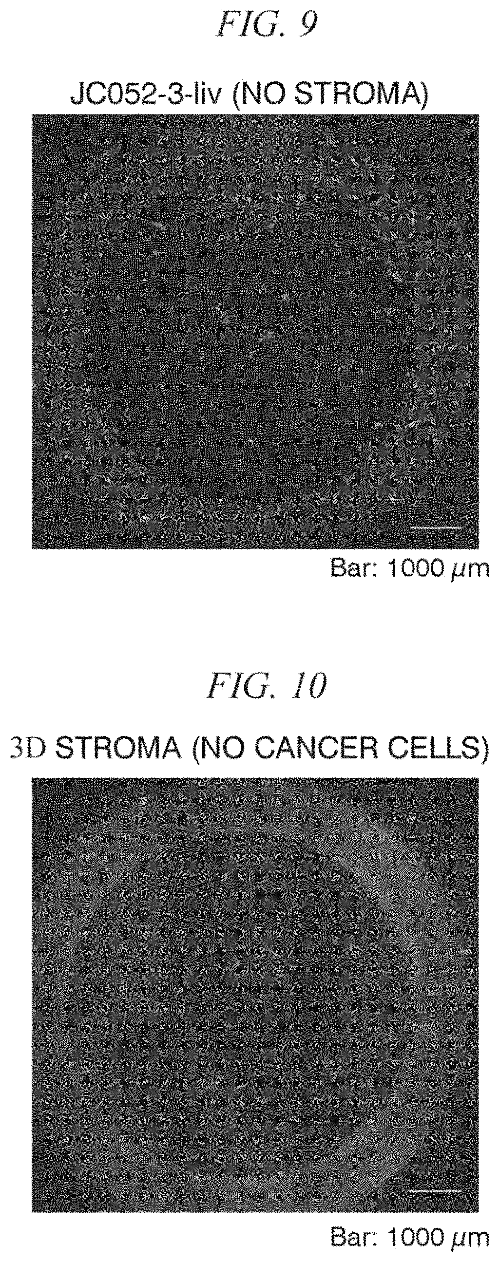Patent US11781115 Figure 6 – Primary culture method