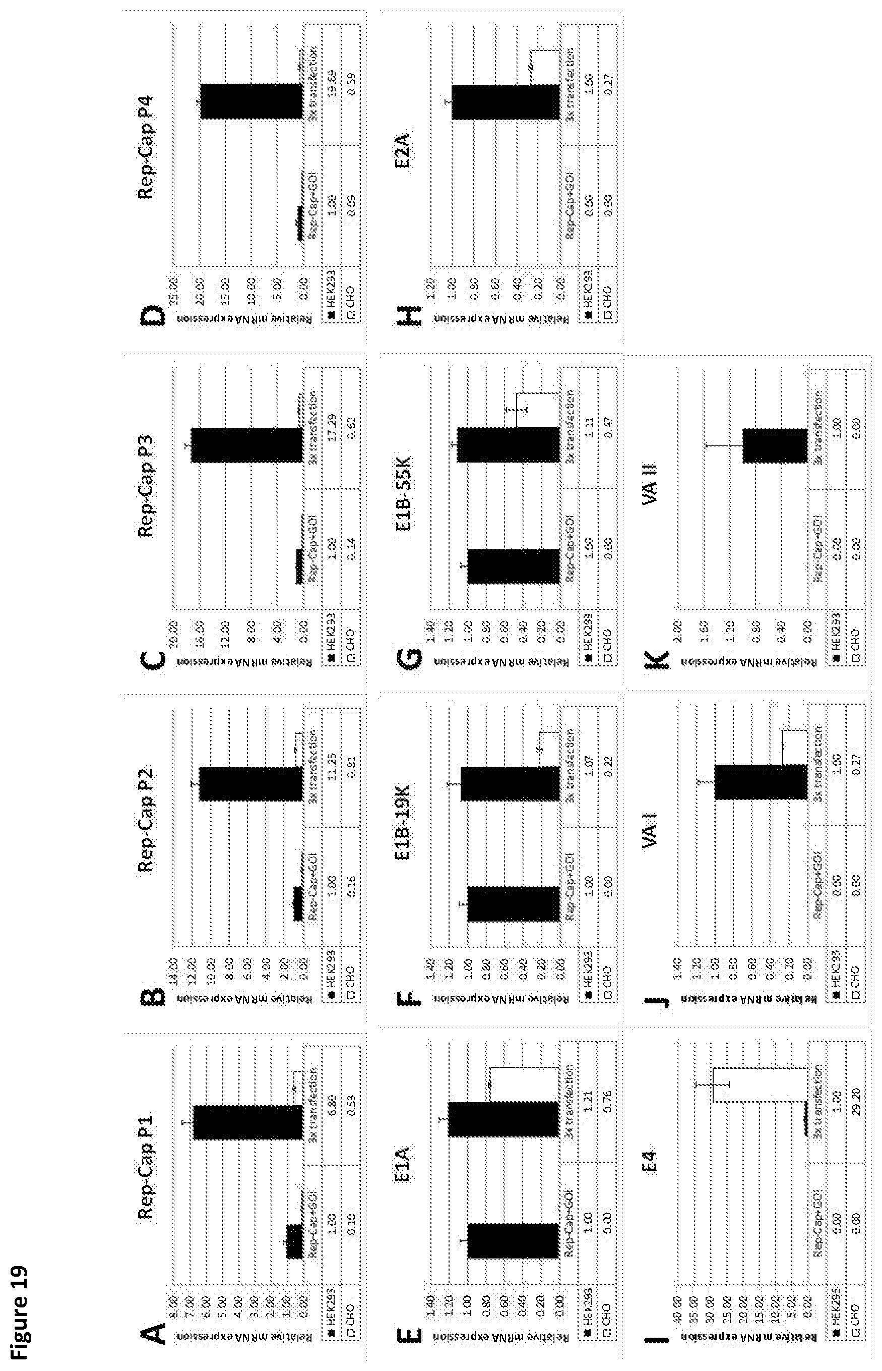 Patent US11781116 Figure 19 – Mammalian cells for producing adeno-associated viruses