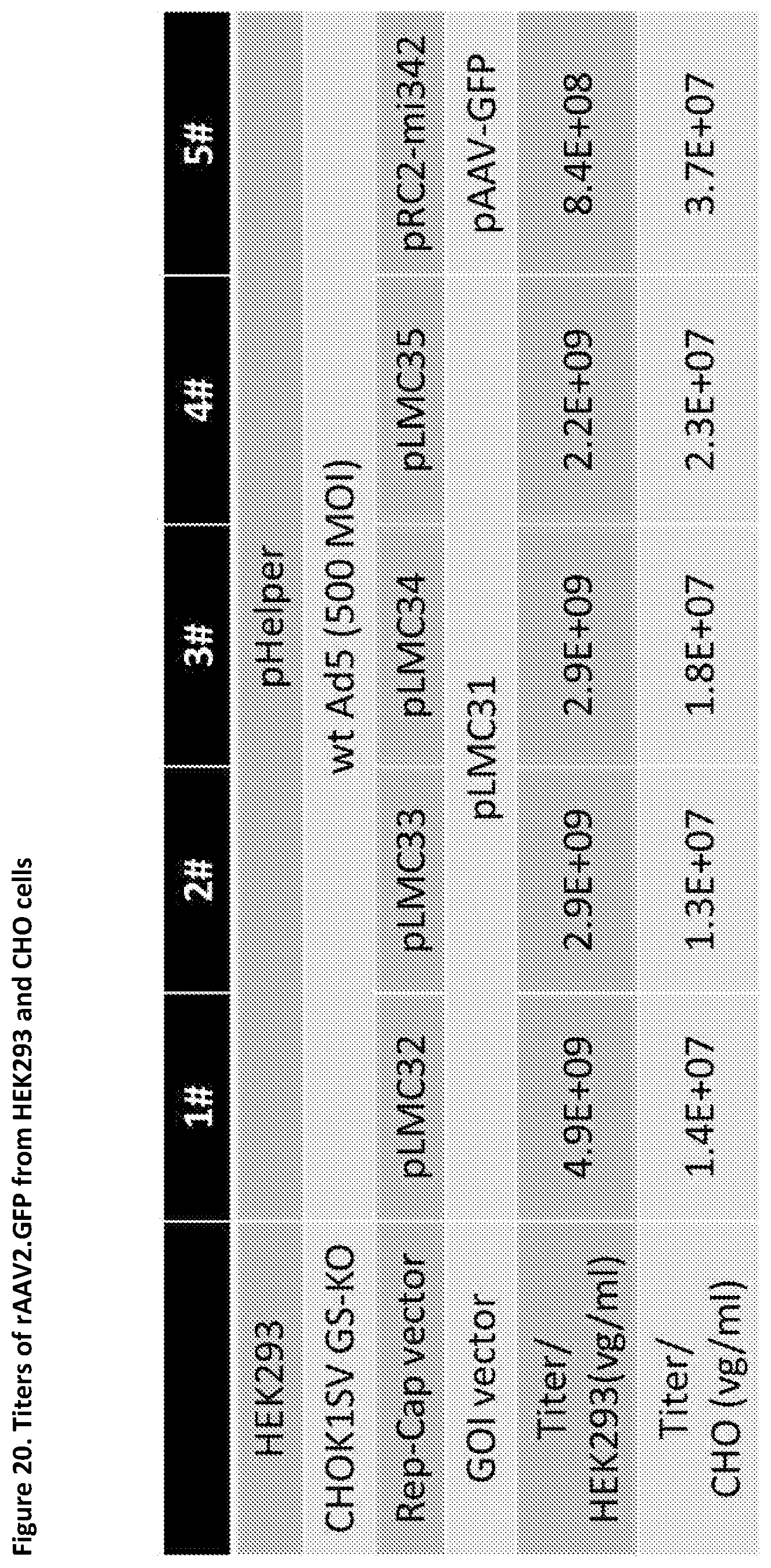 Patent US11781116 Figure 20 – Mammalian cells for producing adeno-associated viruses