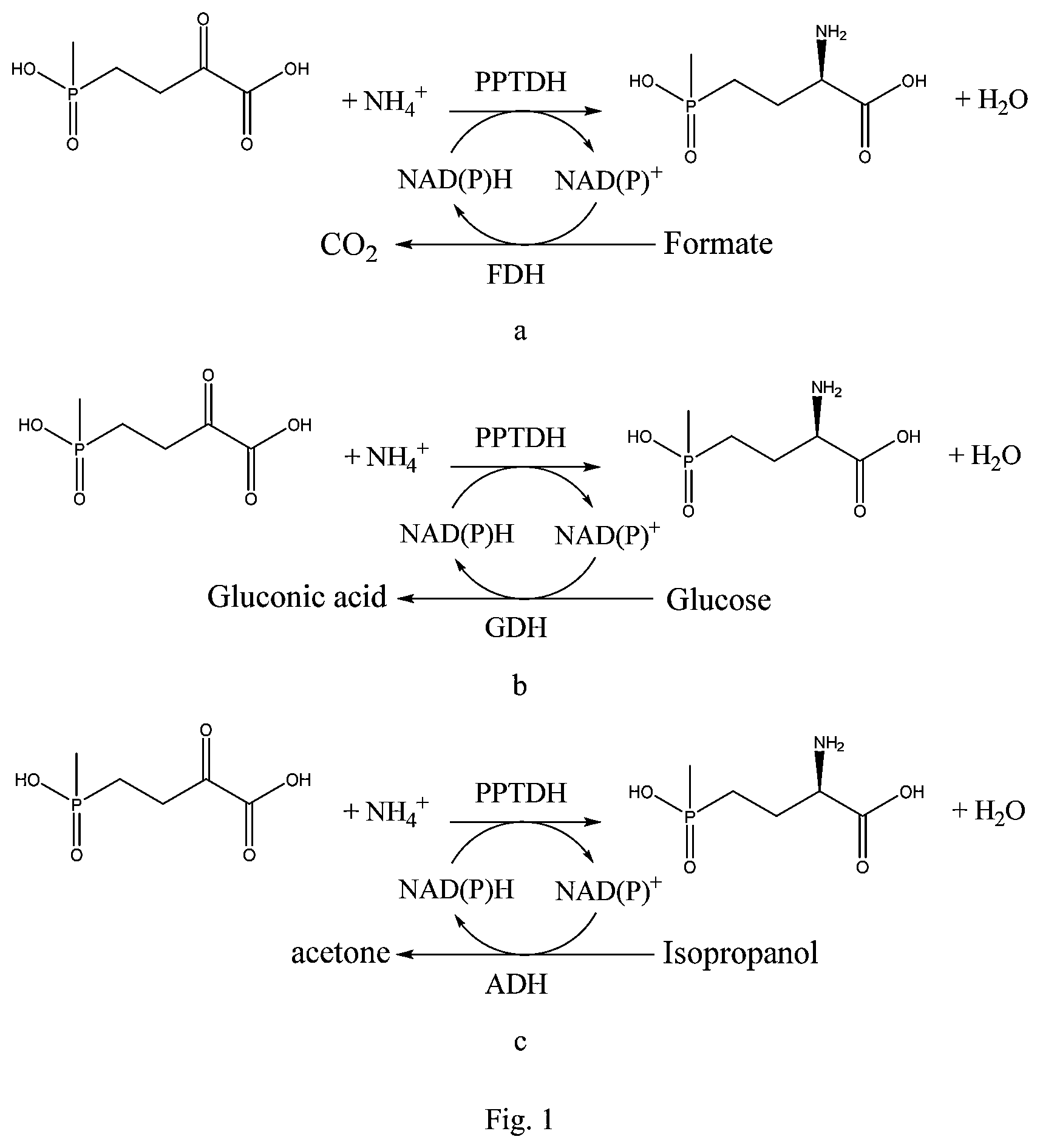 Patent US11781117 Figure 1 – Machine learning gene mining method and phosphinothricin dehydrogenase mutant for amino translocation