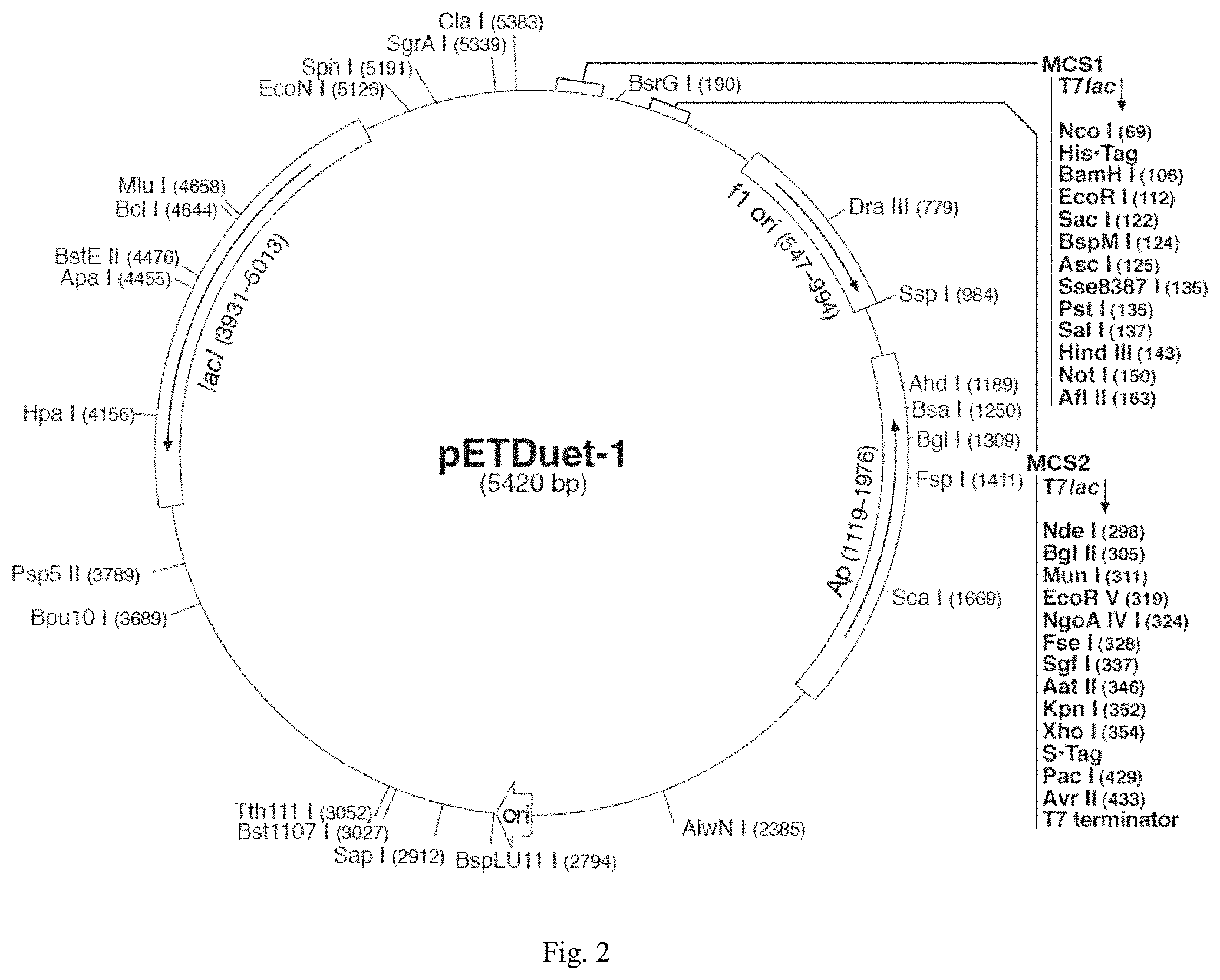 Patent US11781117 Figure 2 – Machine learning gene mining method and phosphinothricin dehydrogenase mutant for amino translocation