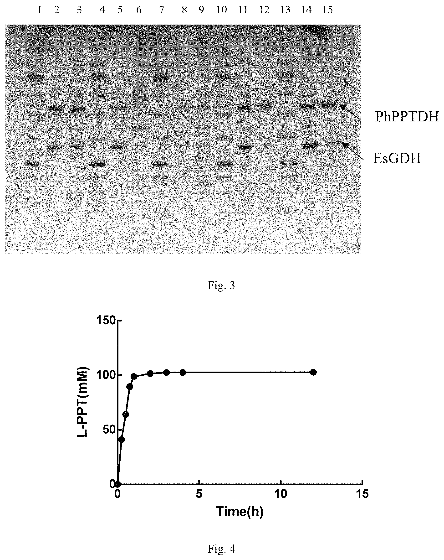 Patent US11781117 Figure 3 – Machine learning gene mining method and phosphinothricin dehydrogenase mutant for amino translocation