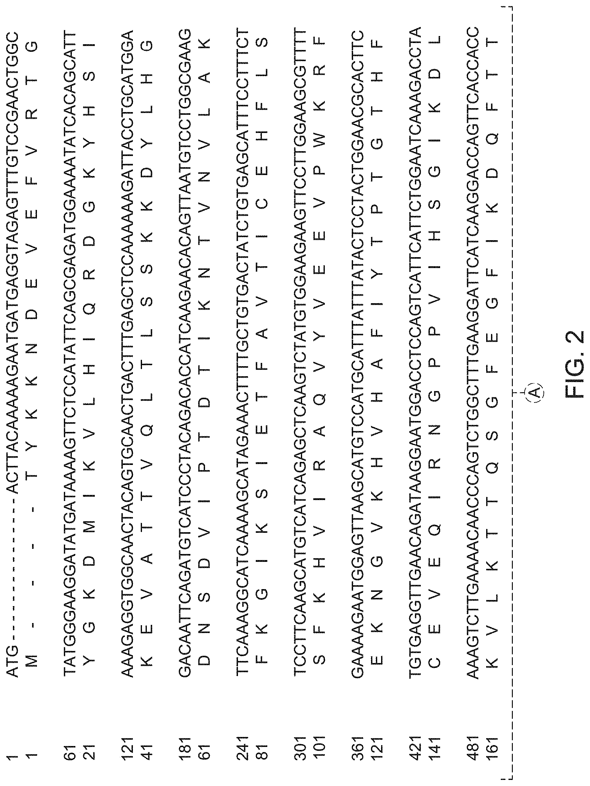 Patent US11781119 Figure 2 – Variant forms of urate oxidase and use thereof