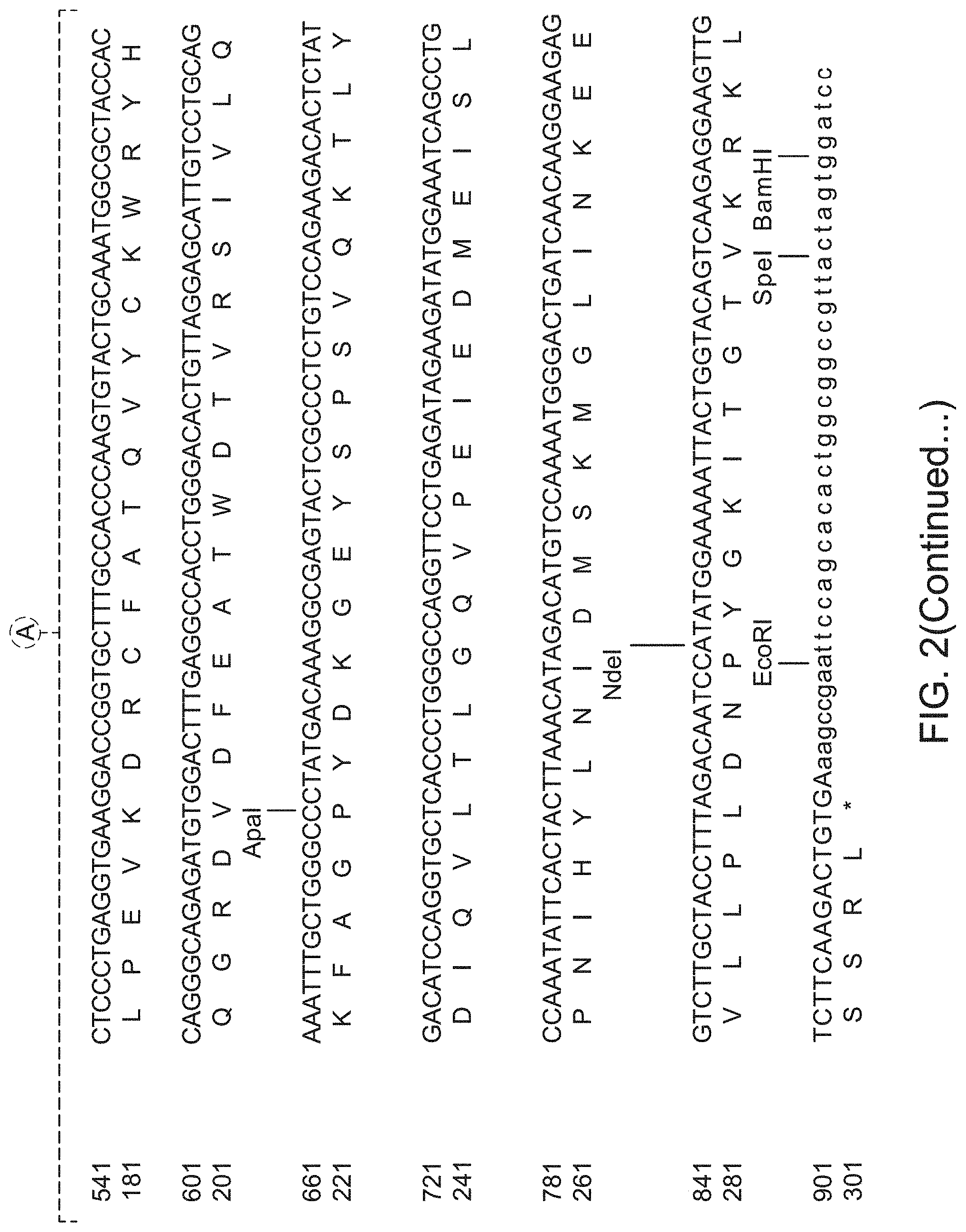 Patent US11781119 Figure 3 – Variant forms of urate oxidase and use thereof