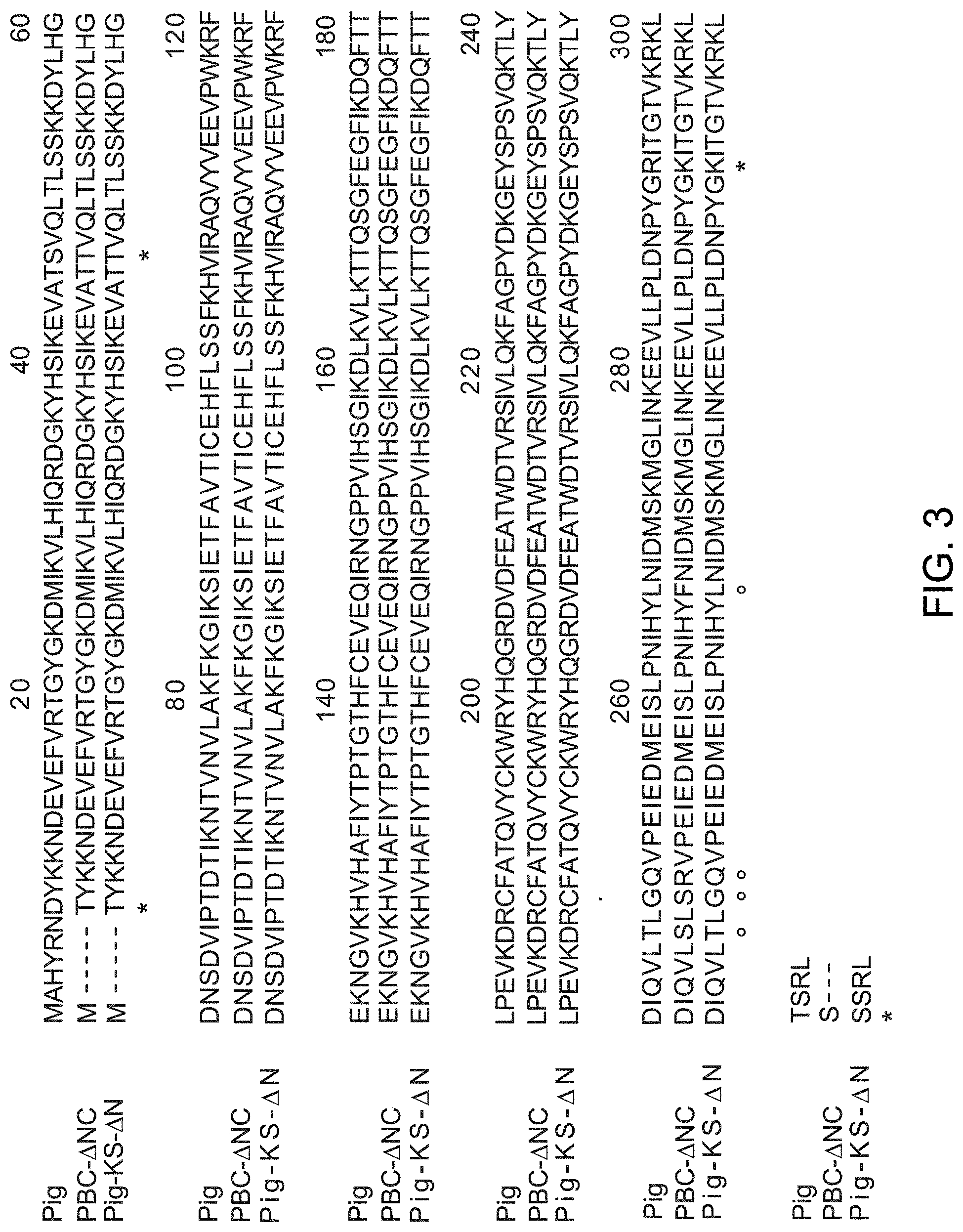Patent US11781119 Figure 4 – Variant forms of urate oxidase and use thereof