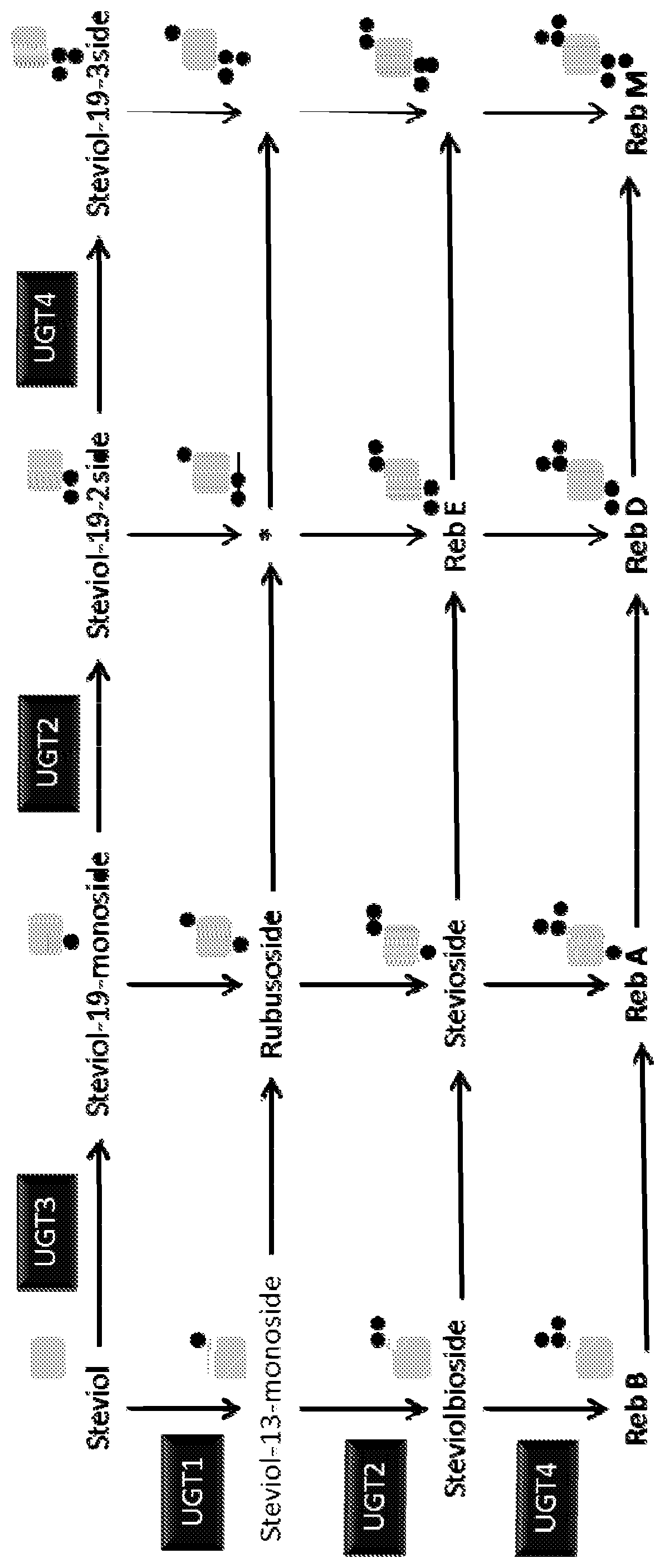 Patent US11781121 Figure 1 – Geranylgeranyl pyrophosphate synthases