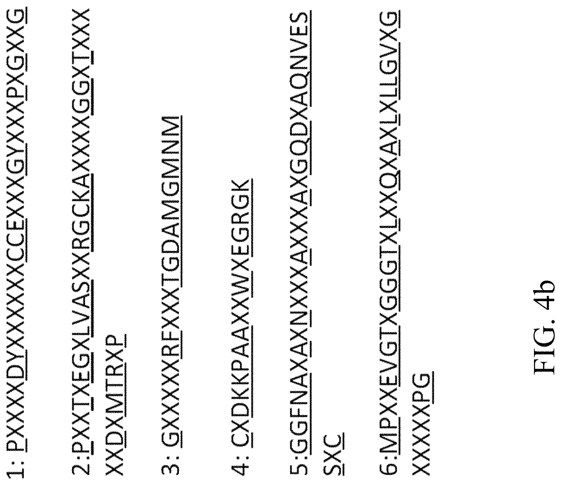 Patent US11781124 Figure 7 – Recombinant polynucleotide sequence for producing astaxanthin and uses thereof