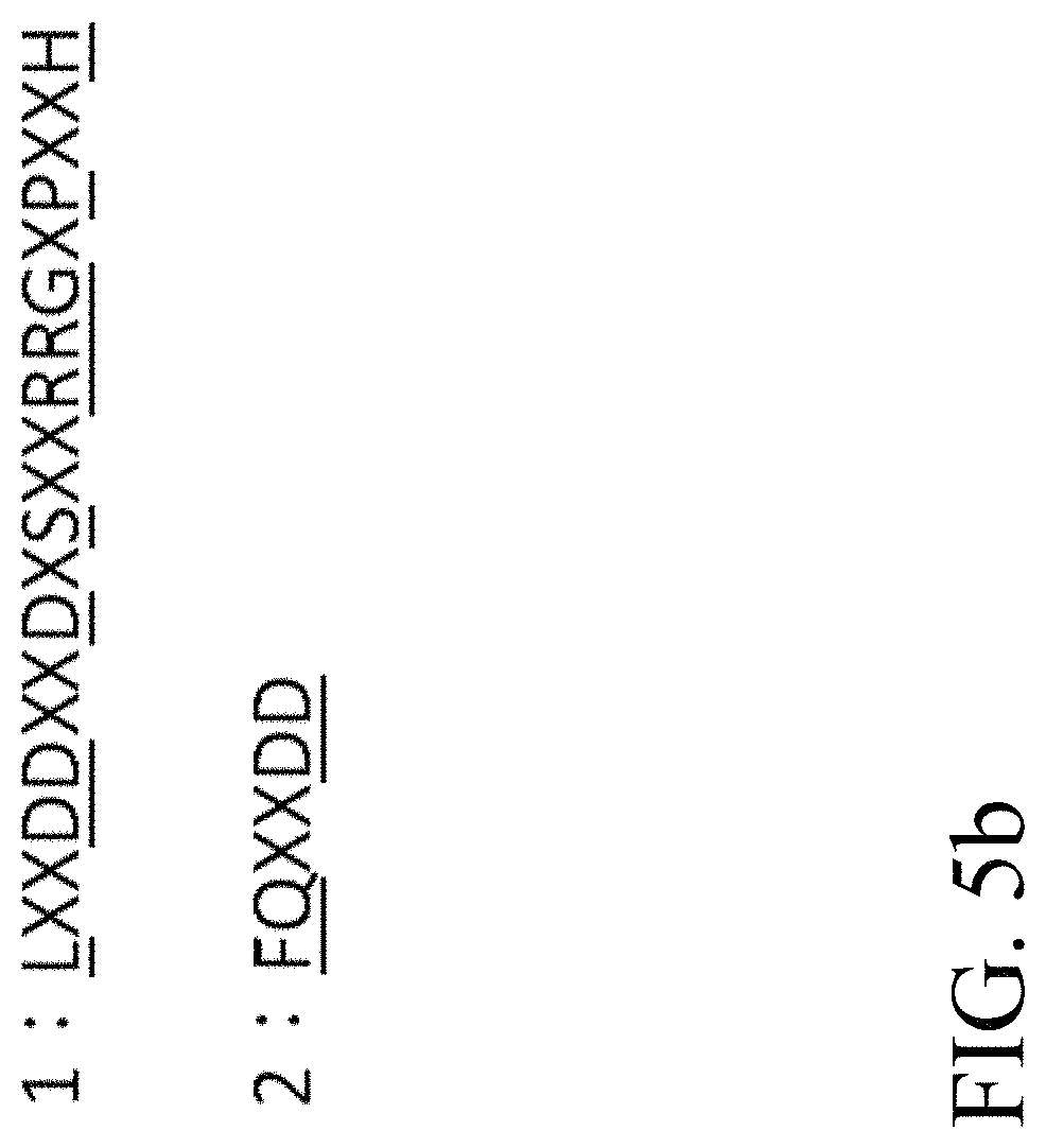 Patent US11781124 Figure 9 – Recombinant polynucleotide sequence for producing astaxanthin and uses thereof