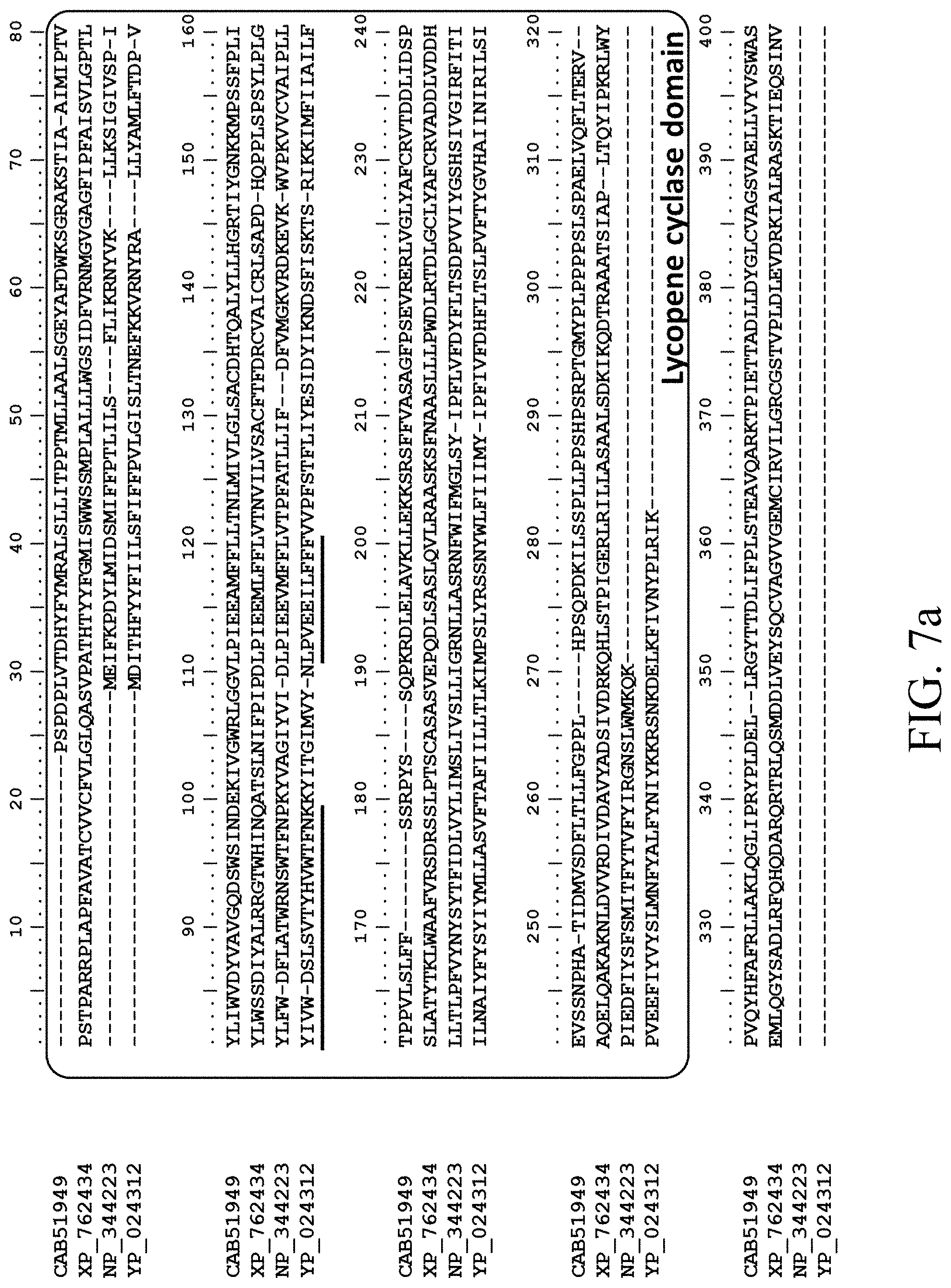 Patent US11781124 Figure 11 – Recombinant polynucleotide sequence for producing astaxanthin and uses thereof