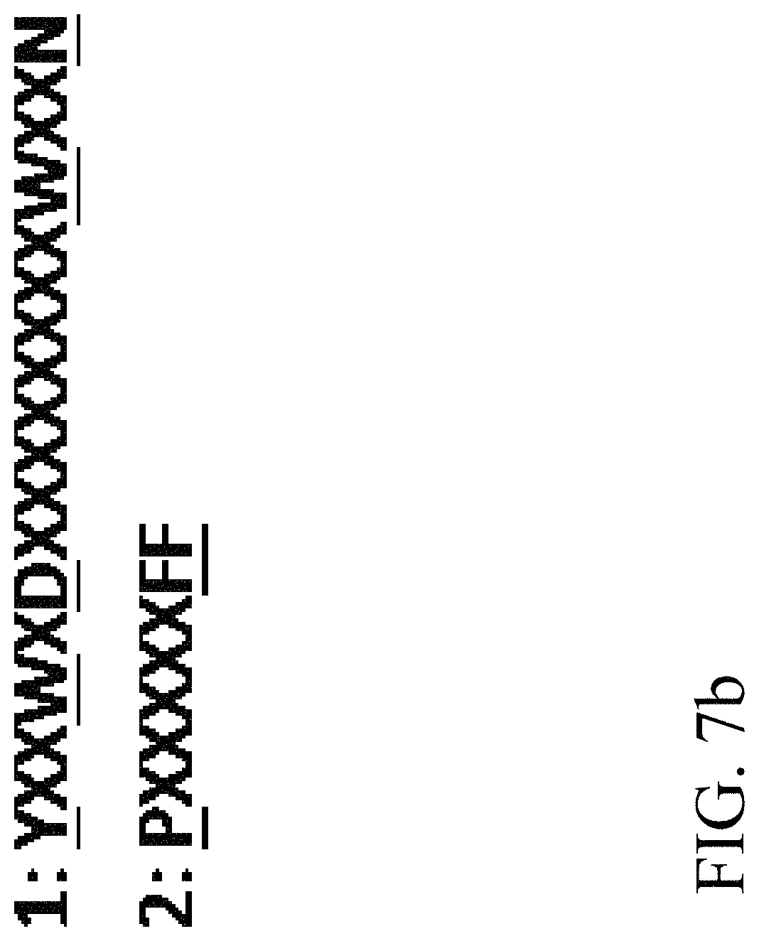 Patent US11781124 Figure 12 – Recombinant polynucleotide sequence for producing astaxanthin and uses thereof