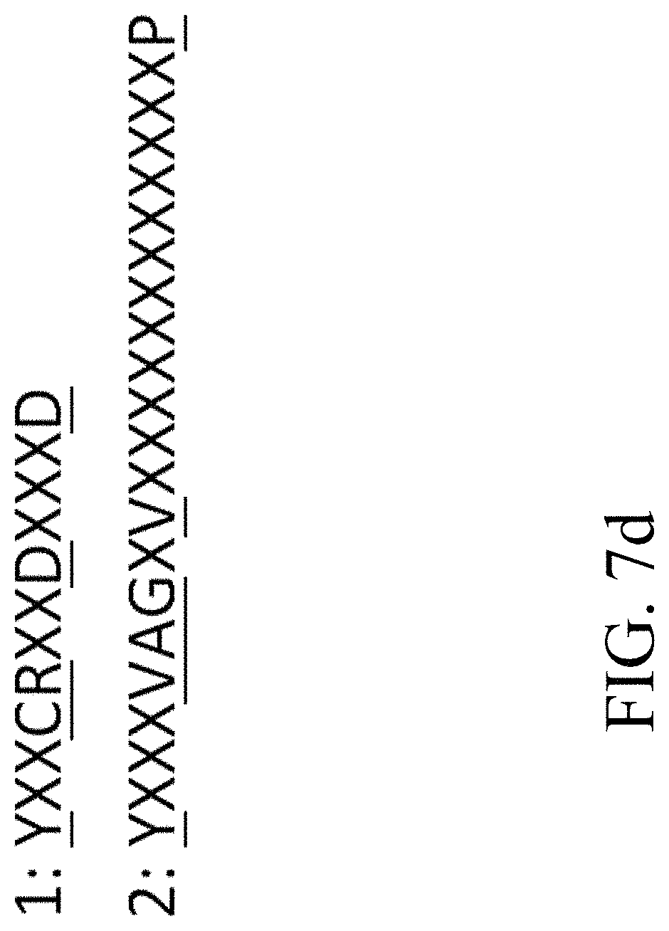 Patent US11781124 Figure 14 – Recombinant polynucleotide sequence for producing astaxanthin and uses thereof