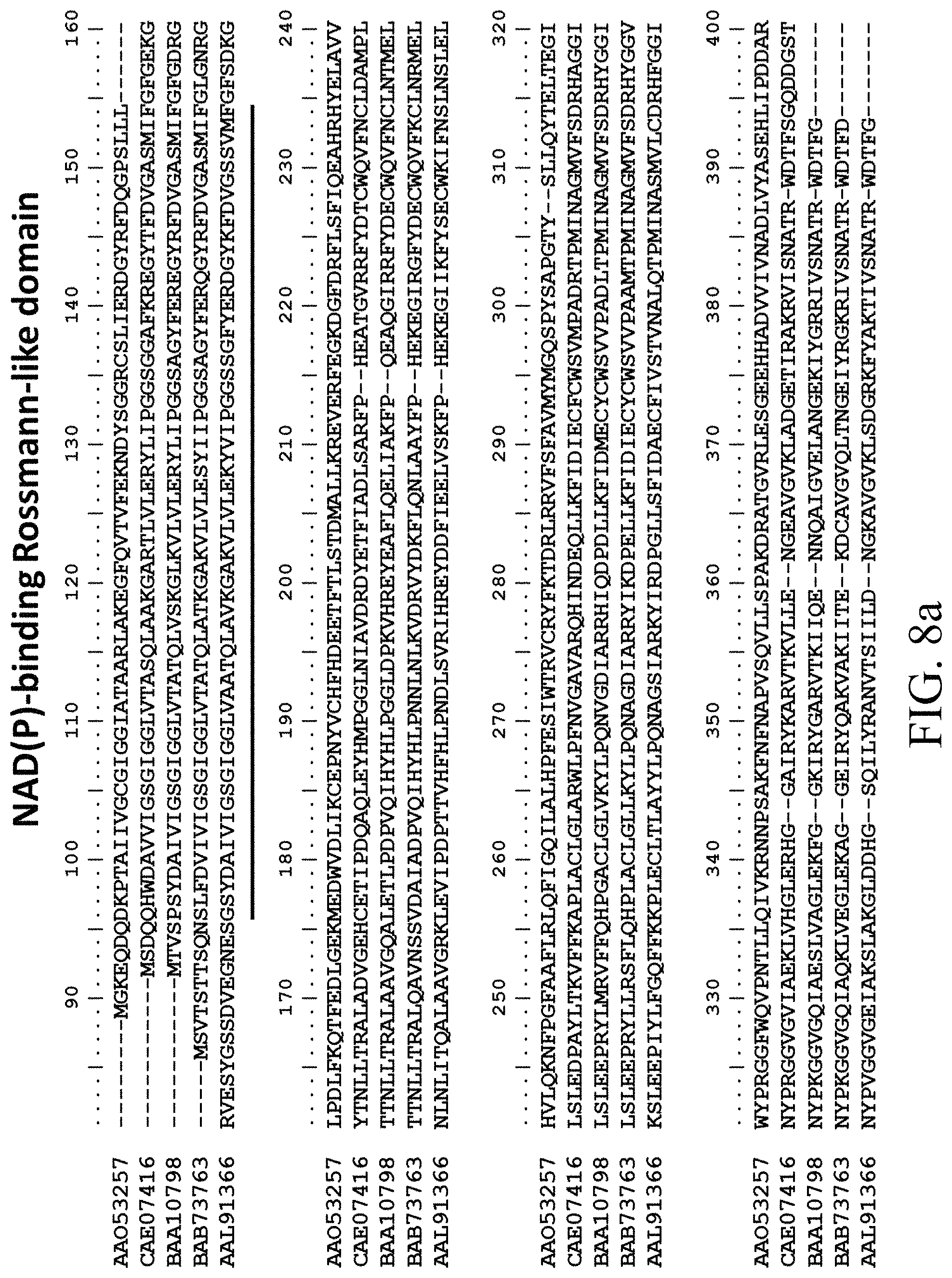 Patent US11781124 Figure 15 – Recombinant polynucleotide sequence for producing astaxanthin and uses thereof