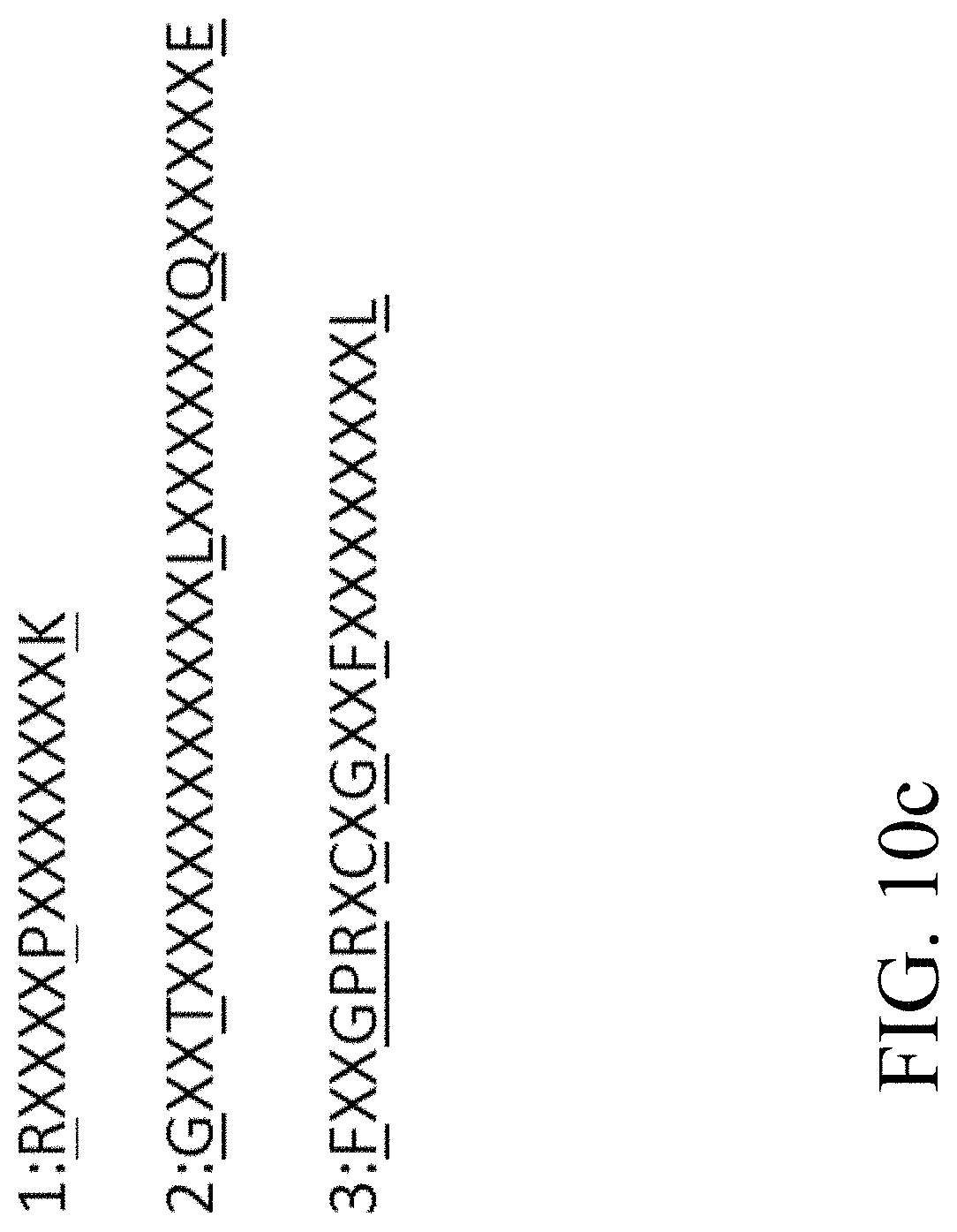 Patent US11781124 Figure 20 – Recombinant polynucleotide sequence for producing astaxanthin and uses thereof