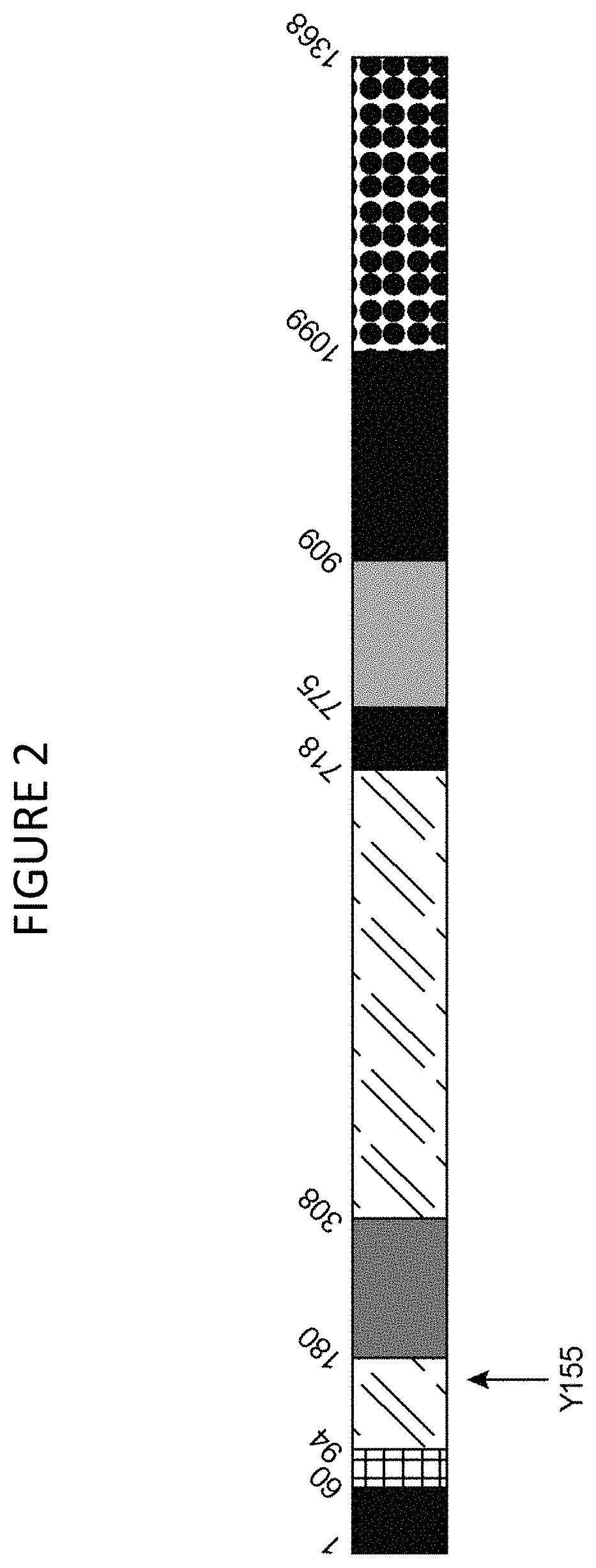 Patent US11781125 Figure 2 – Cas9 variants and methods of use