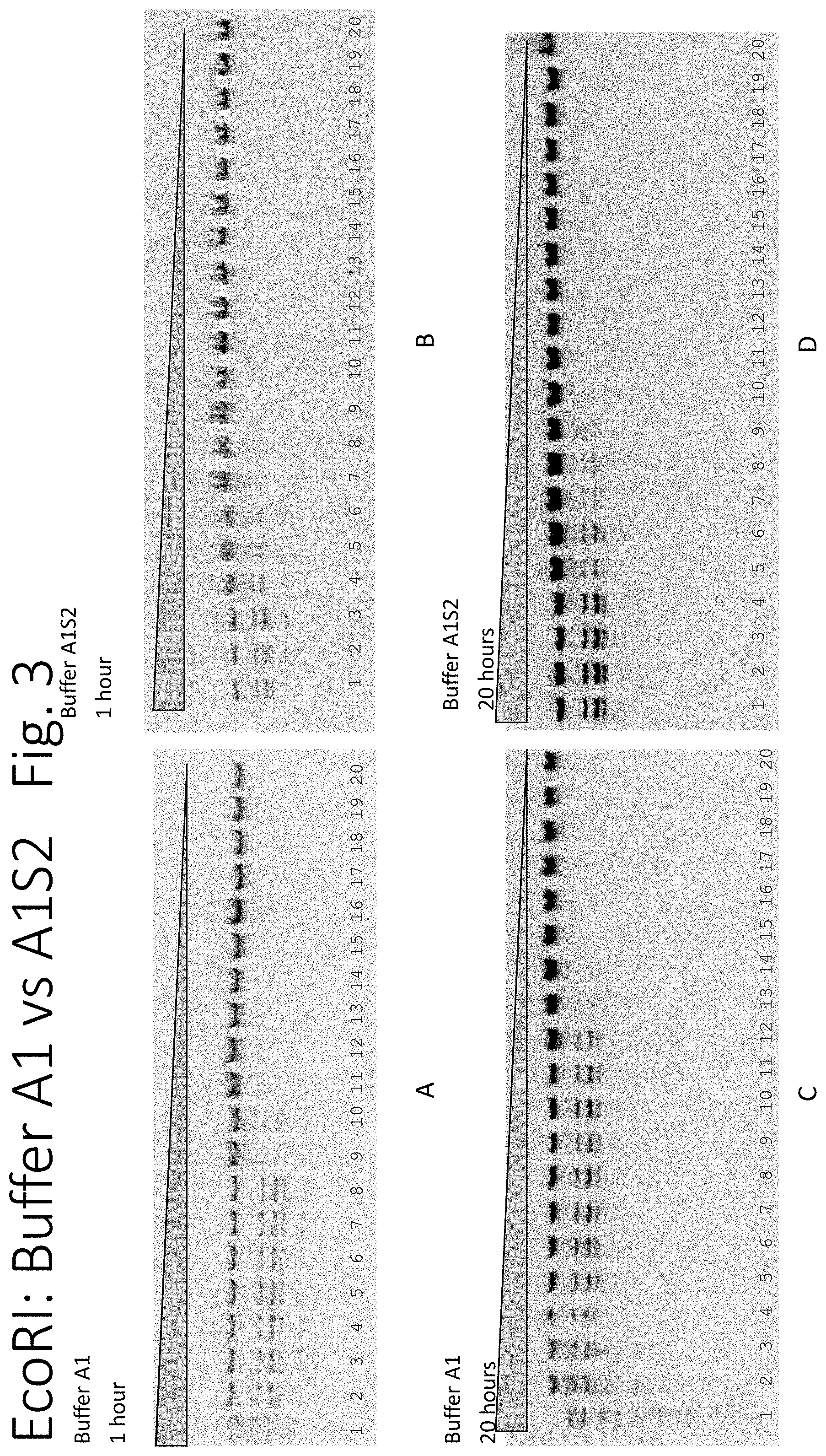 Patent US11781126 Figure 3 – Using proteases to control star activity of restriction enzymes