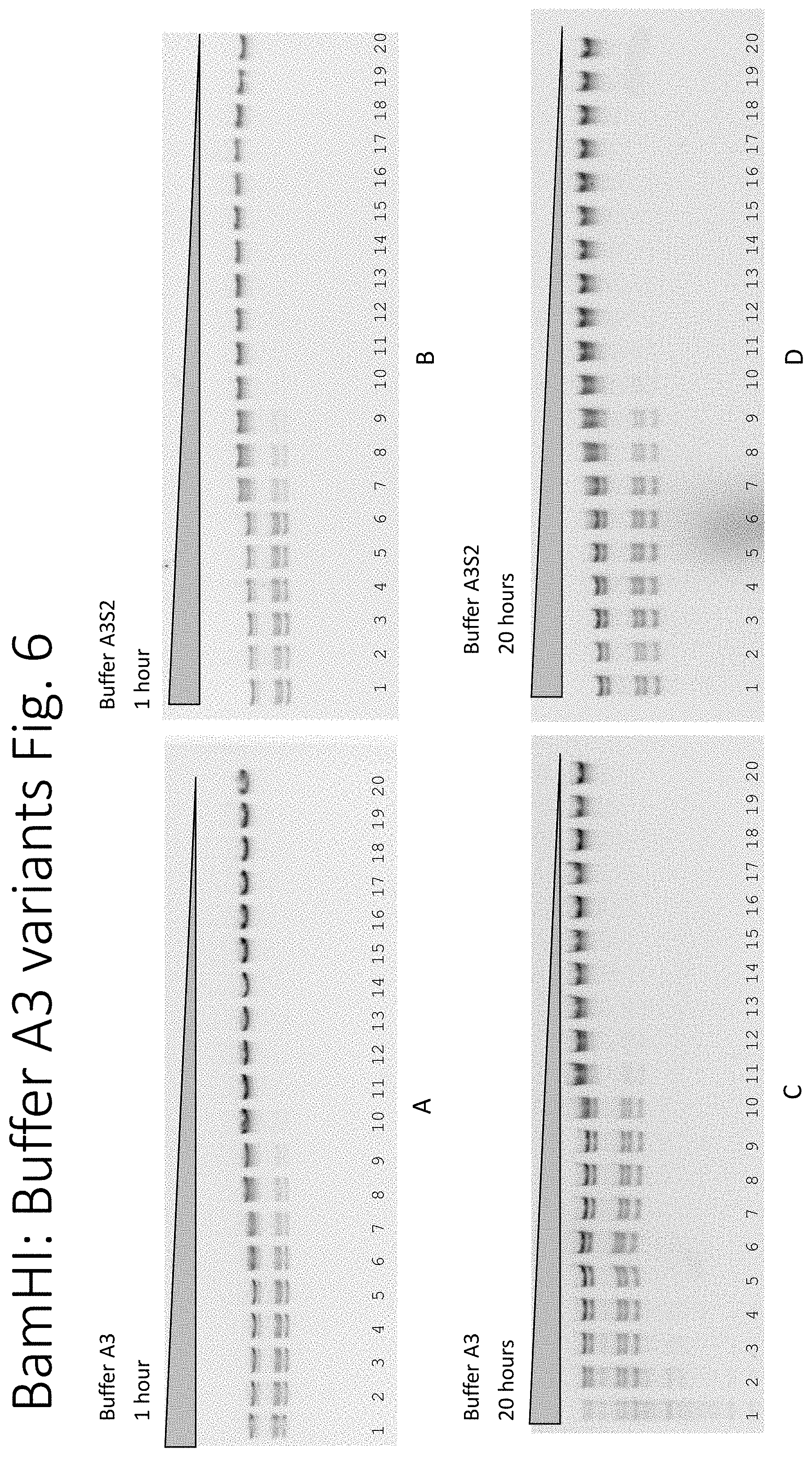 Patent US11781126 Figure 6 – Using proteases to control star activity of restriction enzymes