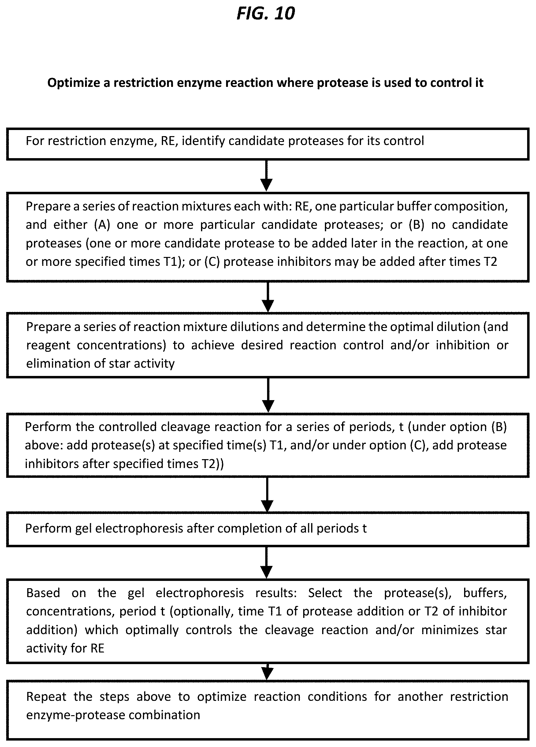 Patent US11781126 Figure 10 – Using proteases to control star activity of restriction enzymes