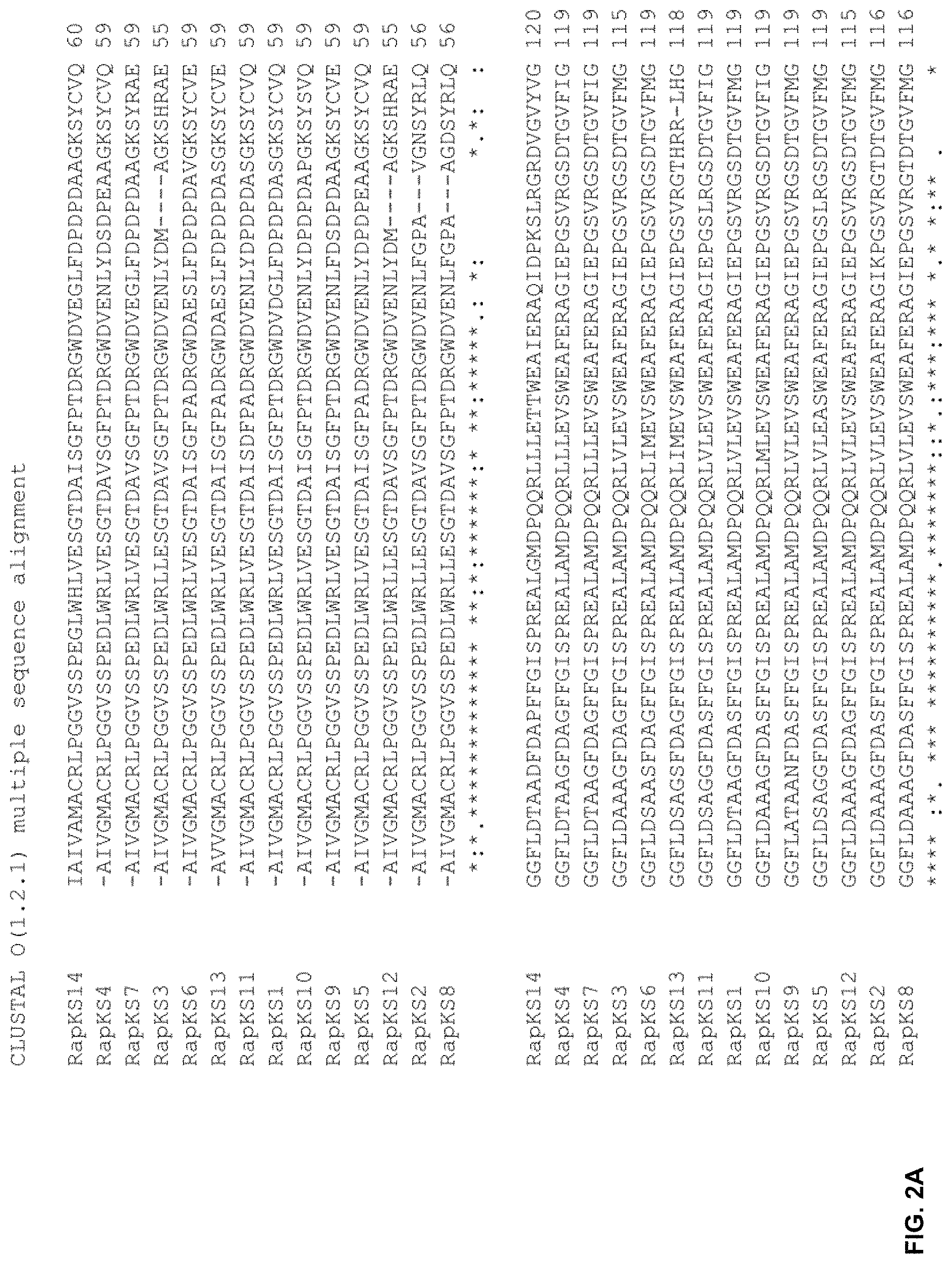 Patent US11781128 Figure 2 – Methods for producing hybrid polyketide synthase genes and polyketides