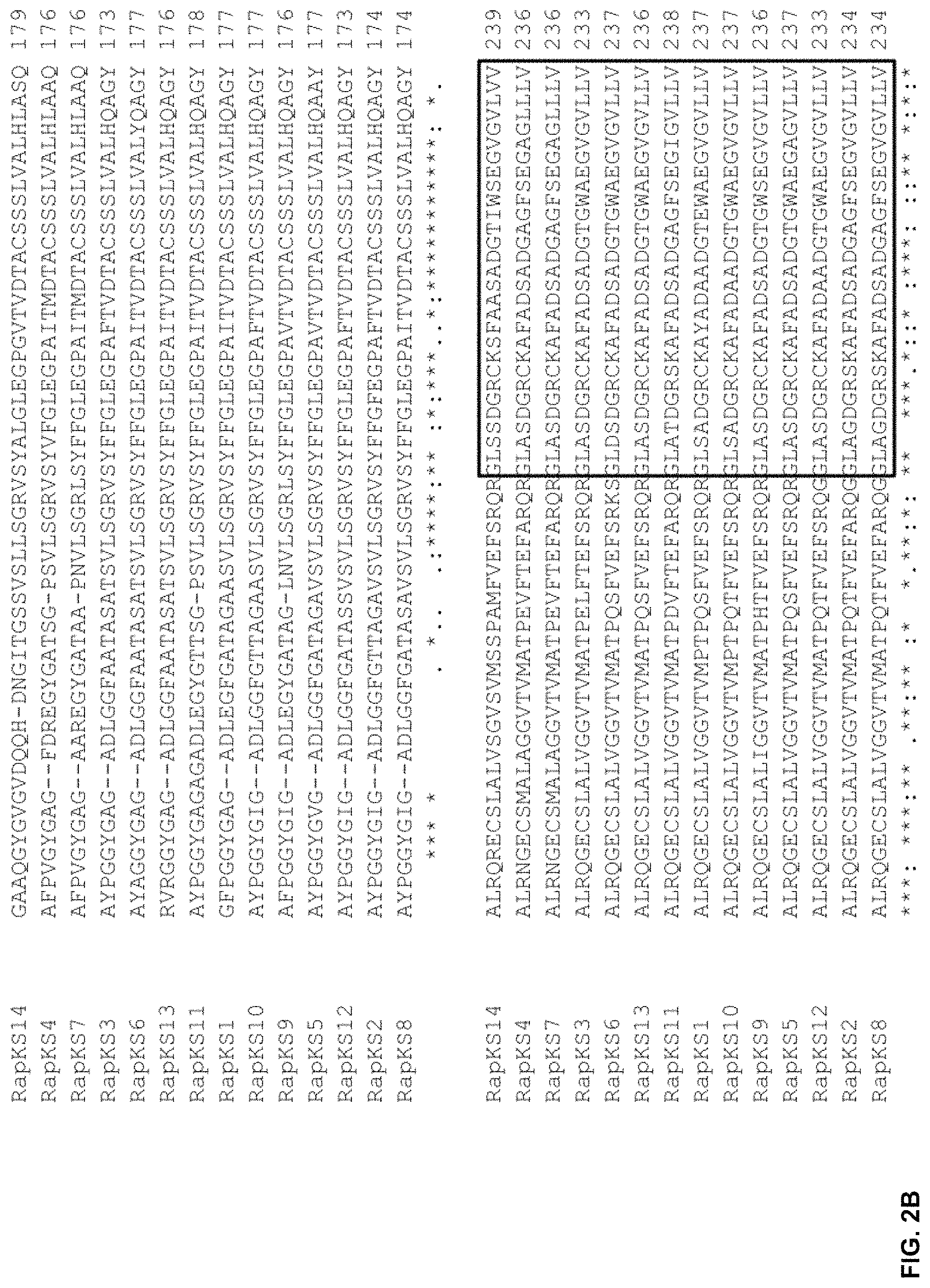 Patent US11781128 Figure 3 – Methods for producing hybrid polyketide synthase genes and polyketides