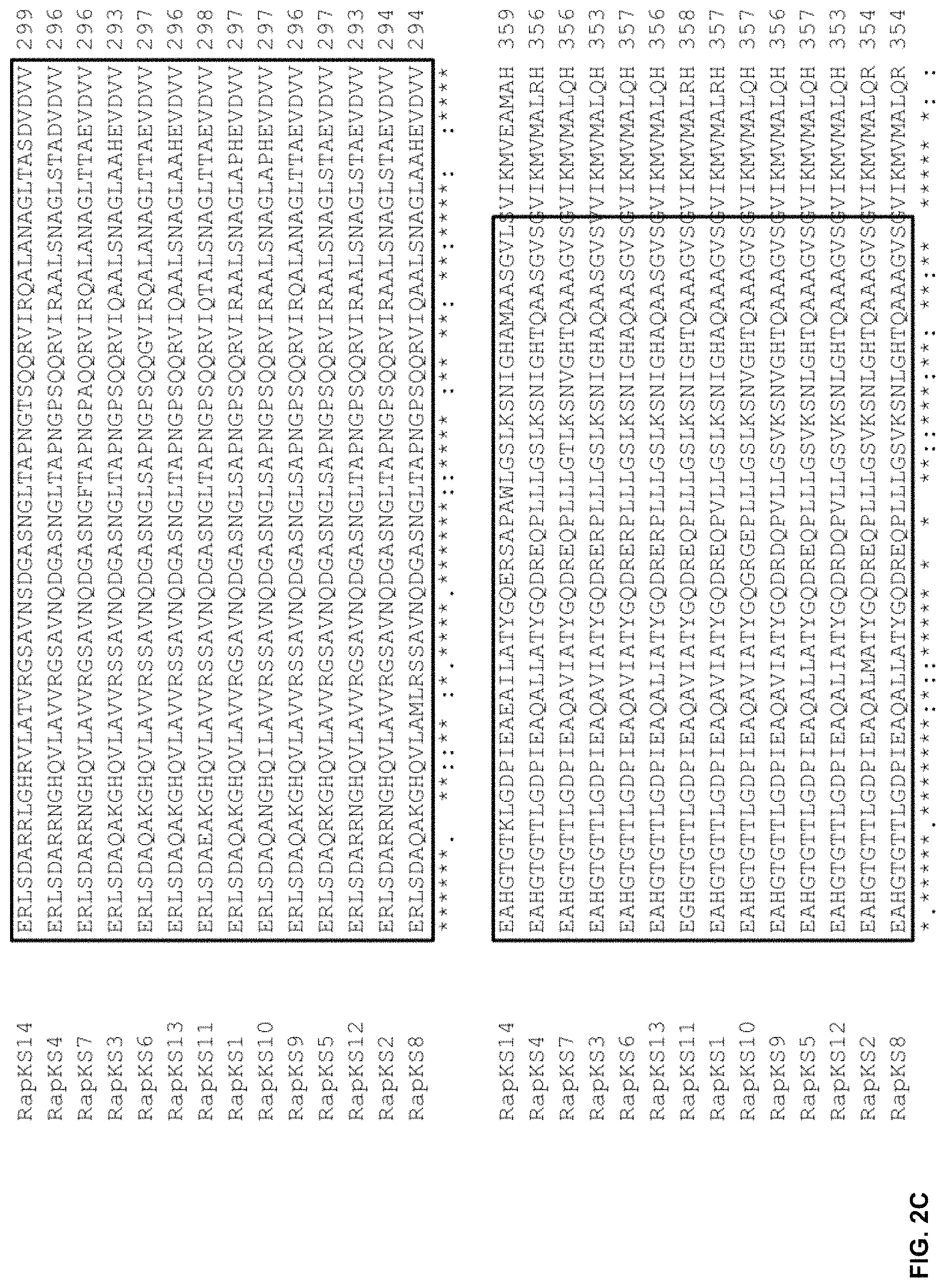 Patent US11781128 Figure 4 – Methods for producing hybrid polyketide synthase genes and polyketides