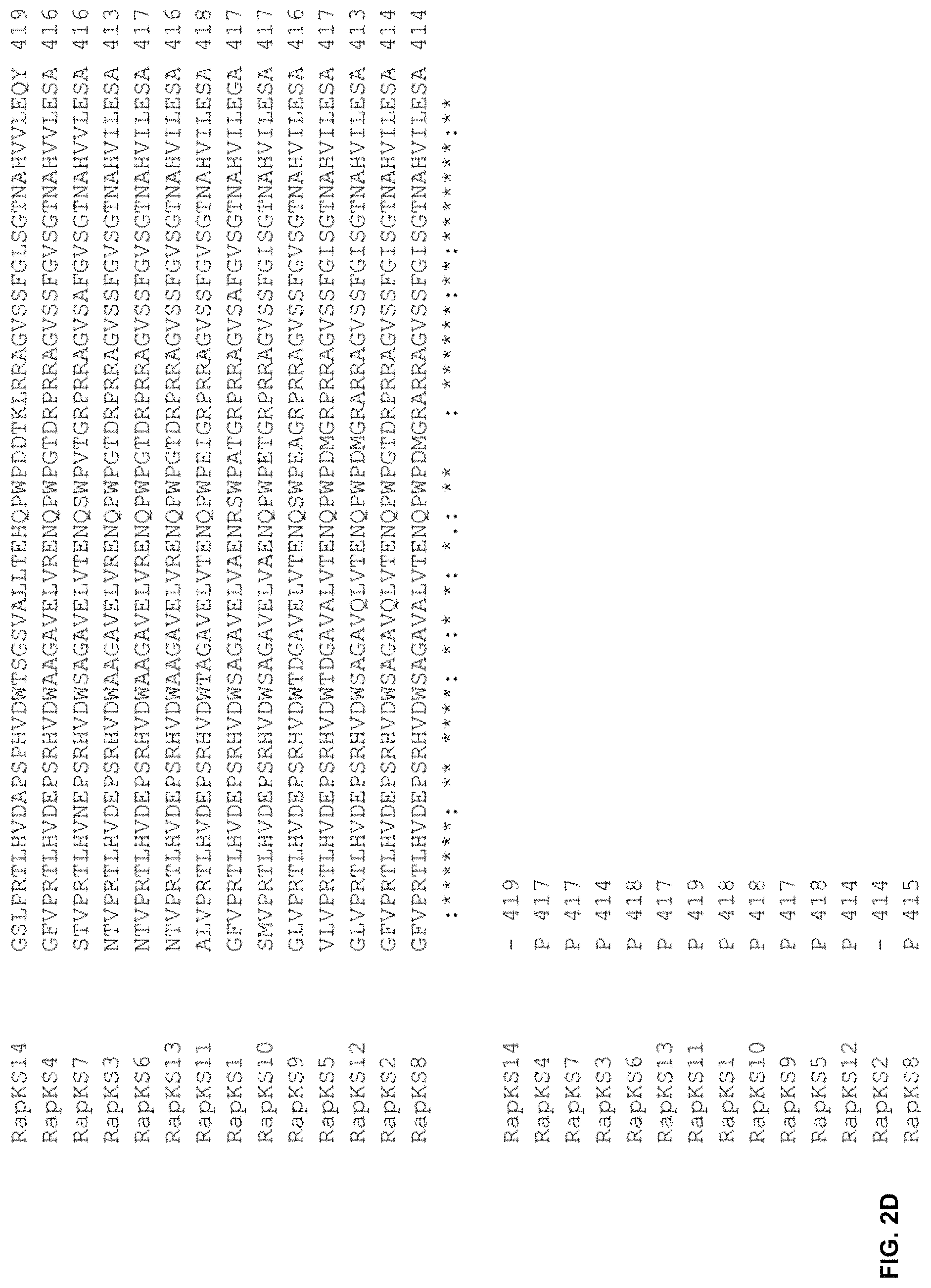 Patent US11781128 Figure 5 – Methods for producing hybrid polyketide synthase genes and polyketides