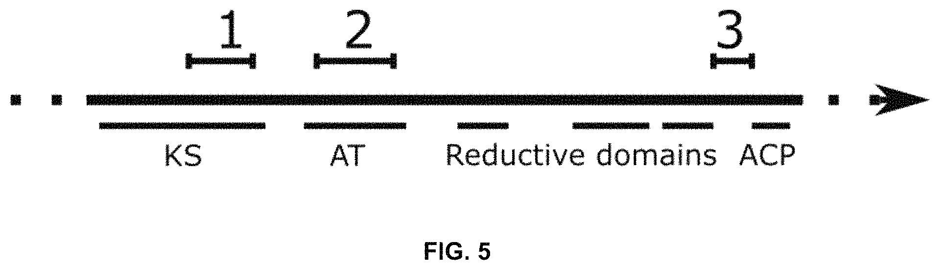 Patent US11781128 Figure 12 – Methods for producing hybrid polyketide synthase genes and polyketides