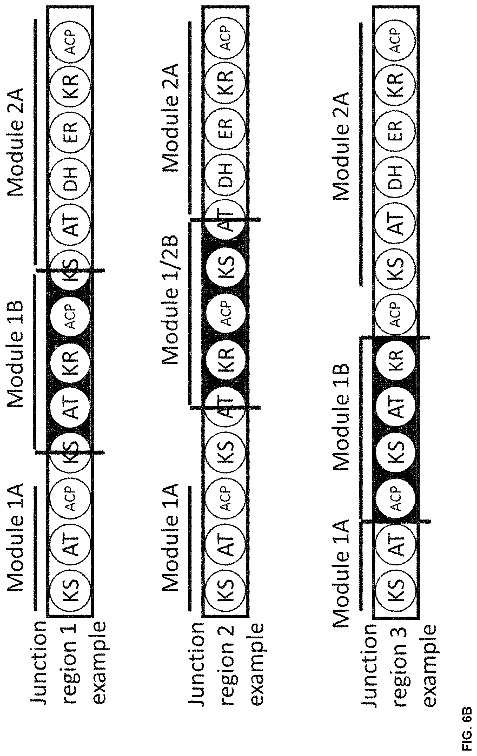 Patent US11781128 Figure 14 – Methods for producing hybrid polyketide synthase genes and polyketides