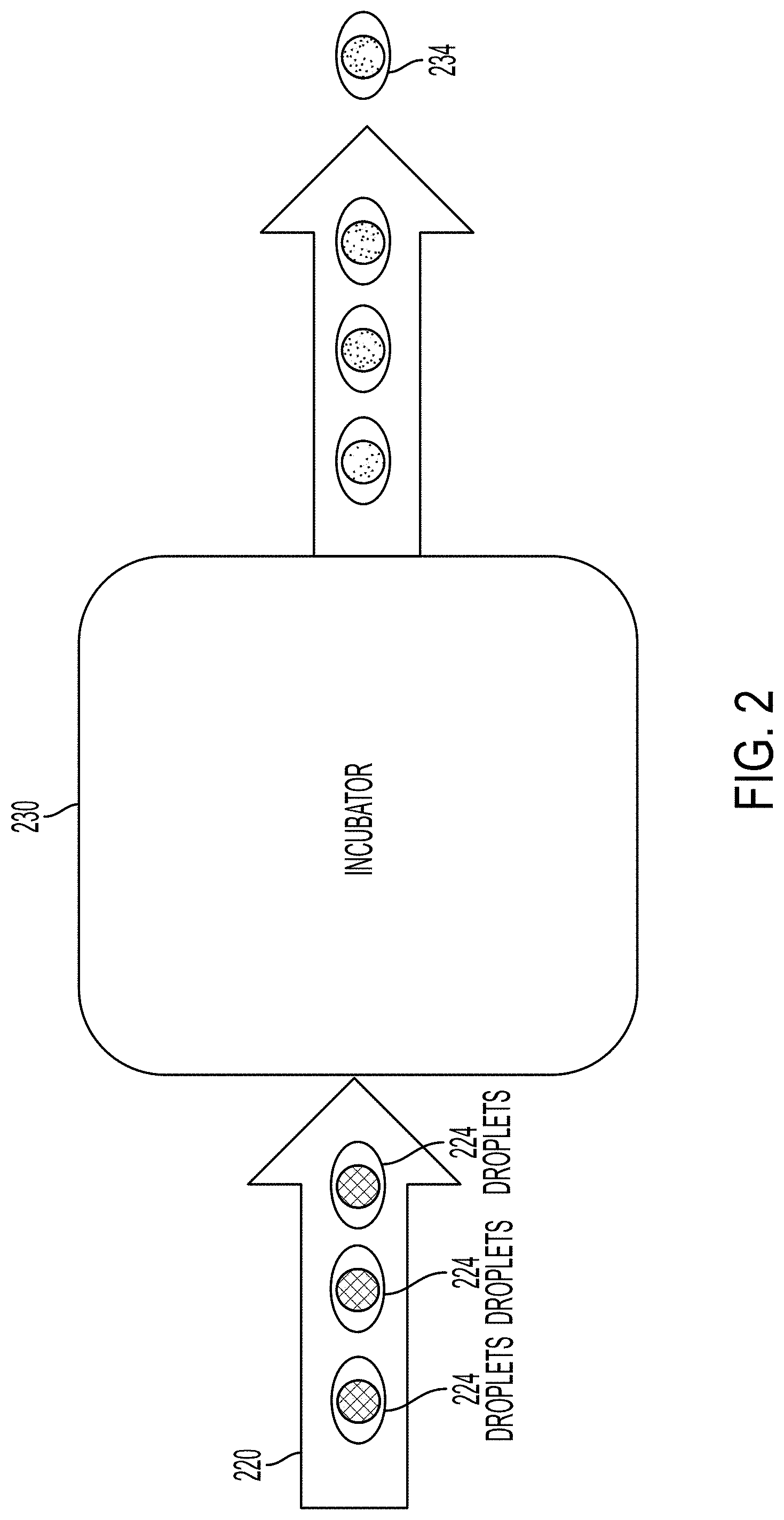 Patent US11781129 Figure 2 – Method, systems and apparatus for single cell analysis