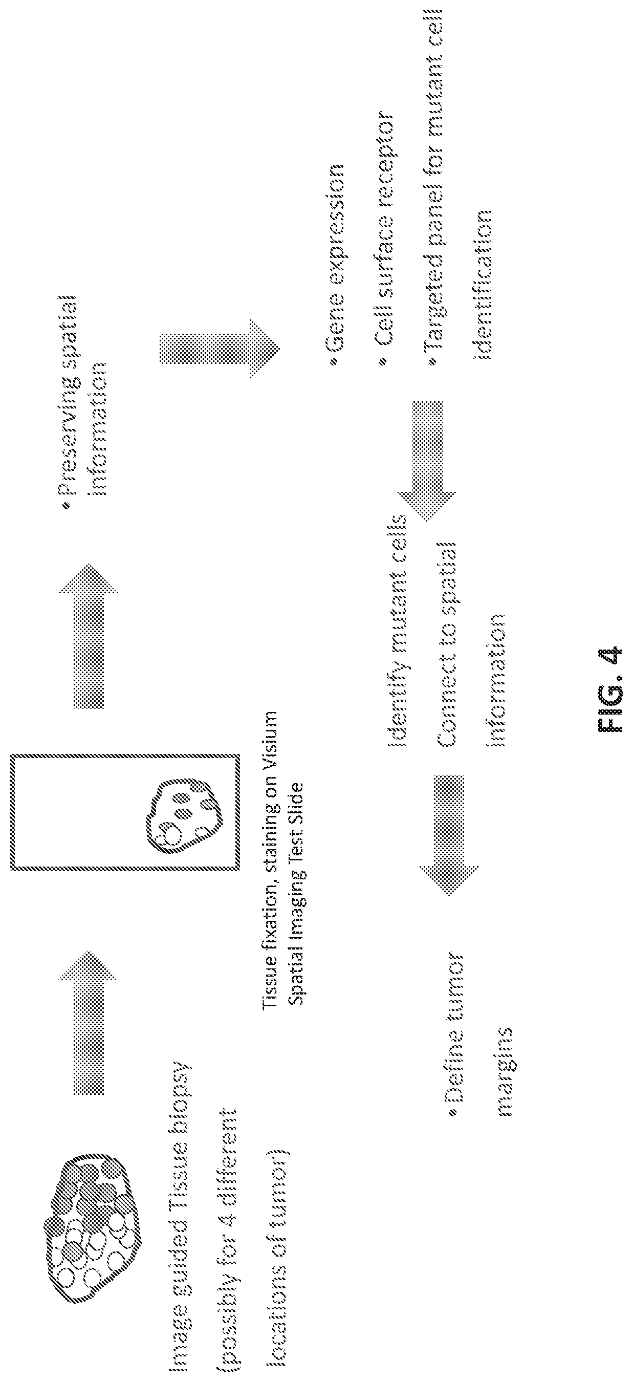 Patent US11781130 Figure 4 – Methods of determining a surgical margin and methods of use thereof
