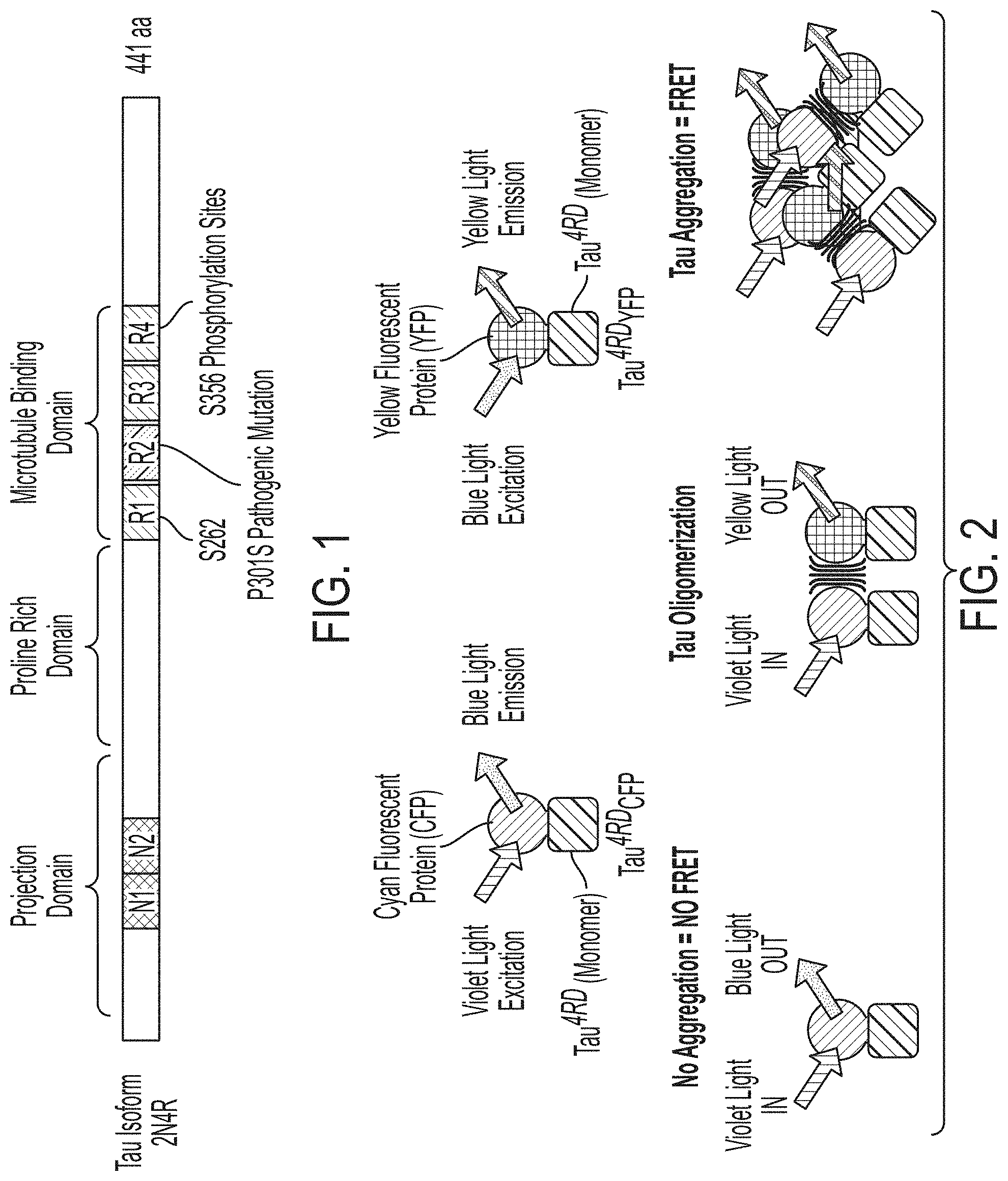 Patent US11781131 Figure 1 – CRISPR/Cas dropout screening platform to reveal genetic vulnerabilities associated with tau aggregation