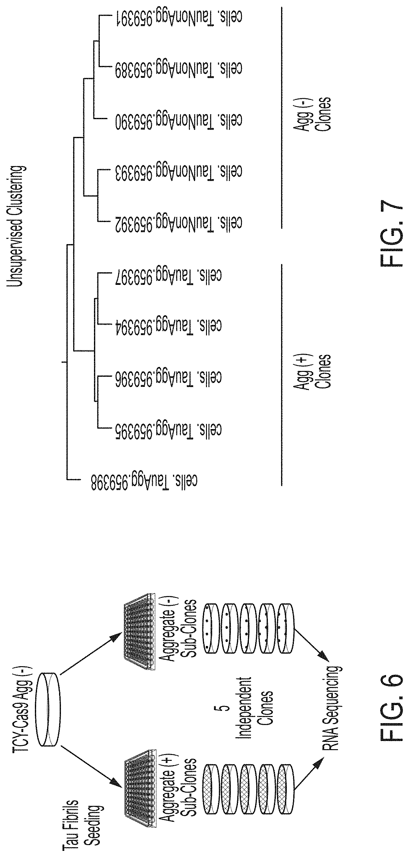 Patent US11781131 Figure 6 – CRISPR/Cas dropout screening platform to reveal genetic vulnerabilities associated with tau aggregation