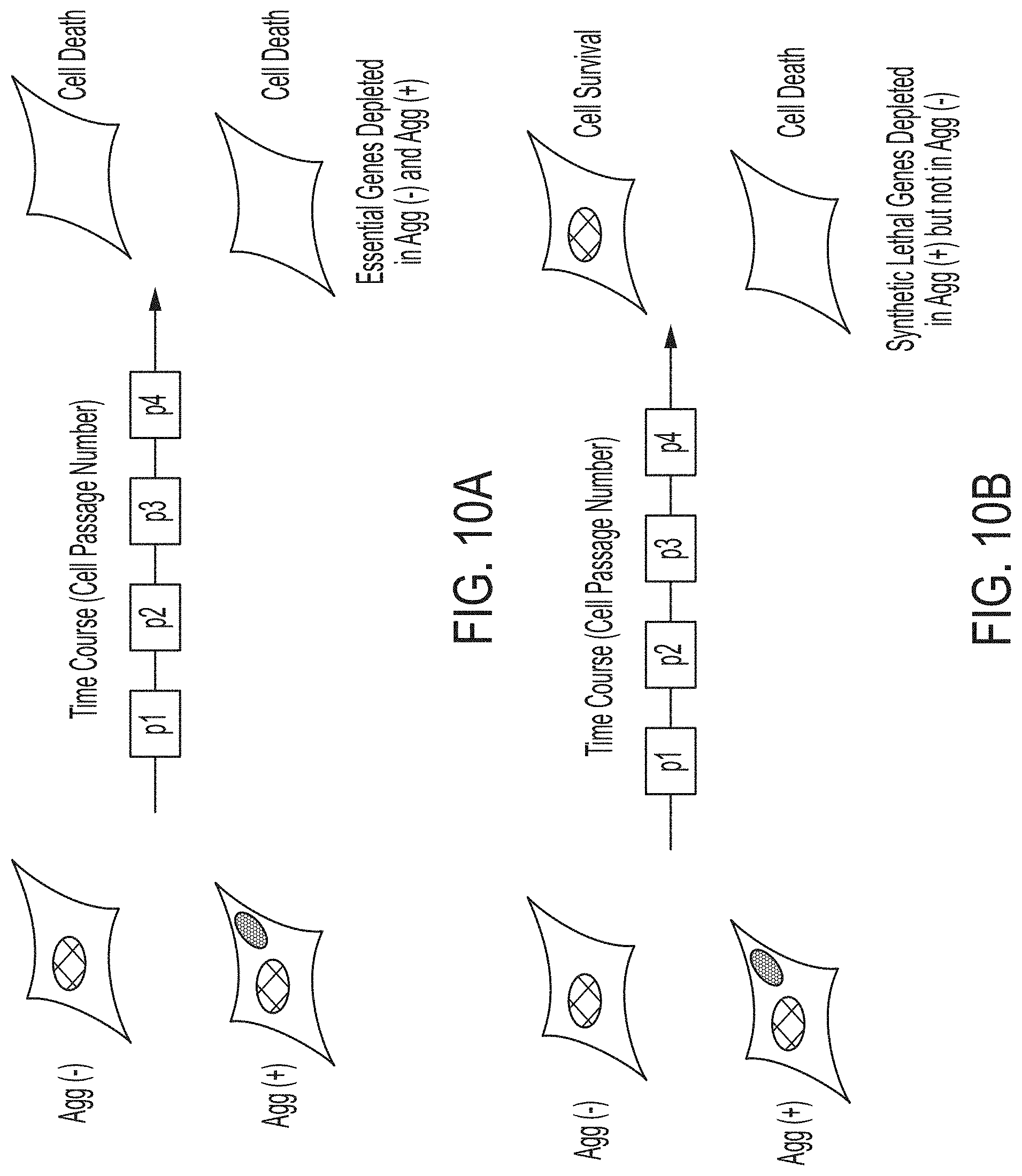 Patent US11781131 Figure 9 – CRISPR/Cas dropout screening platform to reveal genetic vulnerabilities associated with tau aggregation