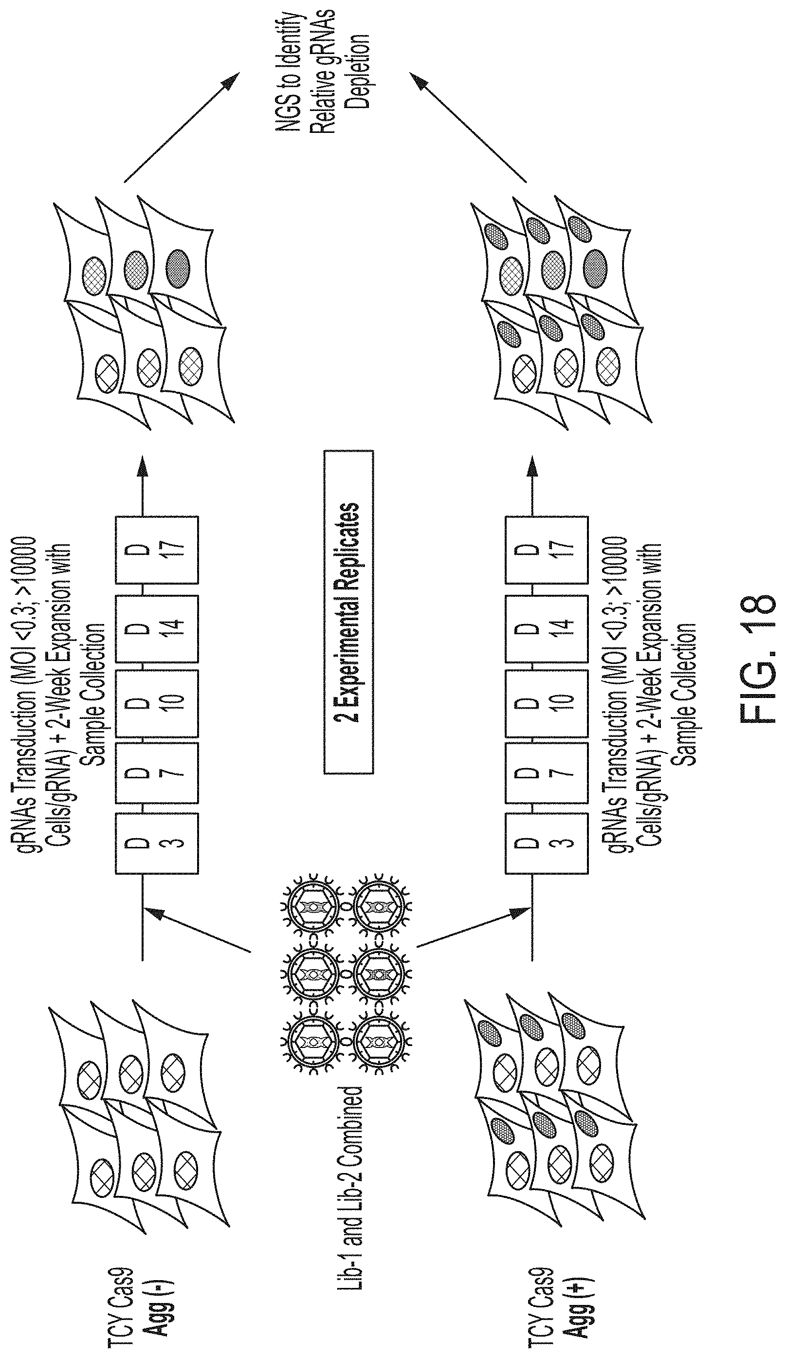 Patent US11781131 Figure 17 – CRISPR/Cas dropout screening platform to reveal genetic vulnerabilities associated with tau aggregation
