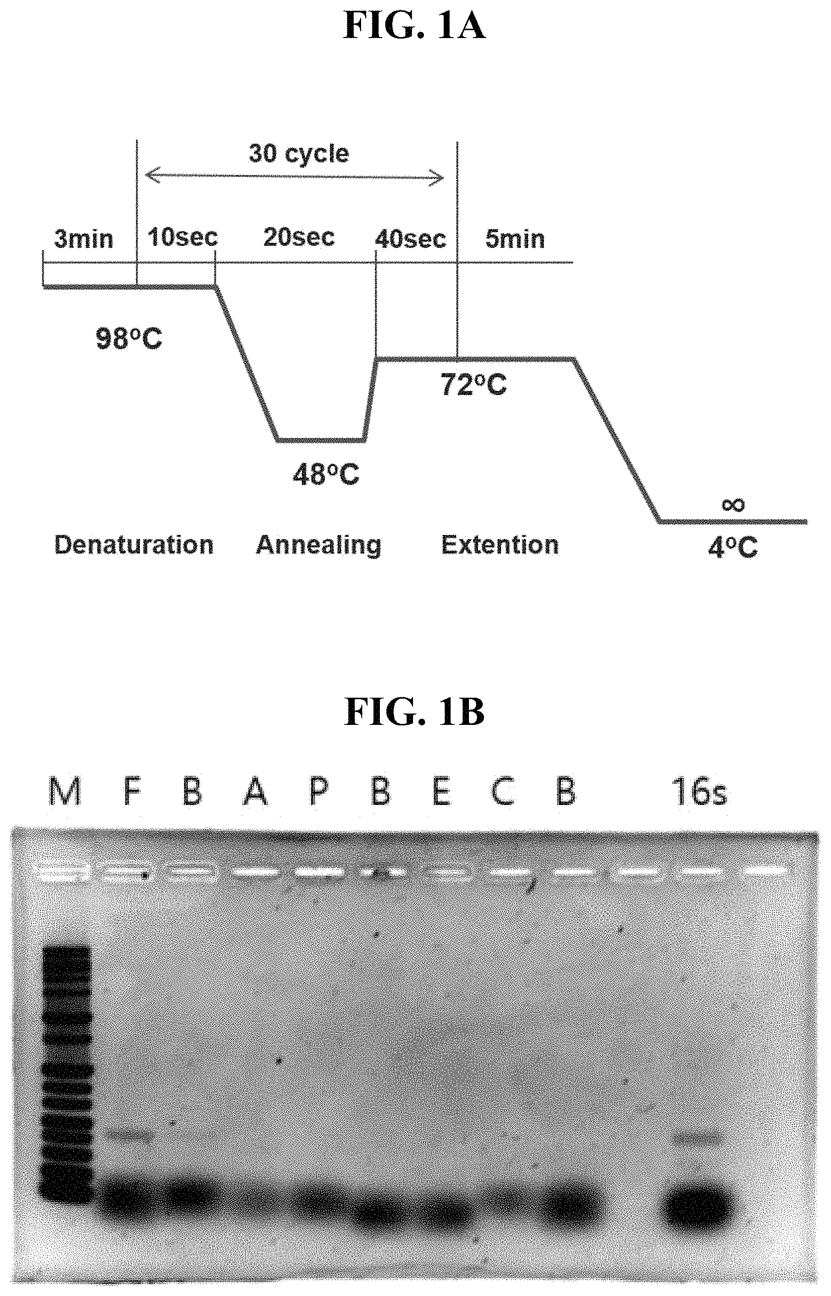 Patent US11781132 Figure 1 – DNA extraction method using microwave for next generation sequencing and use thereof