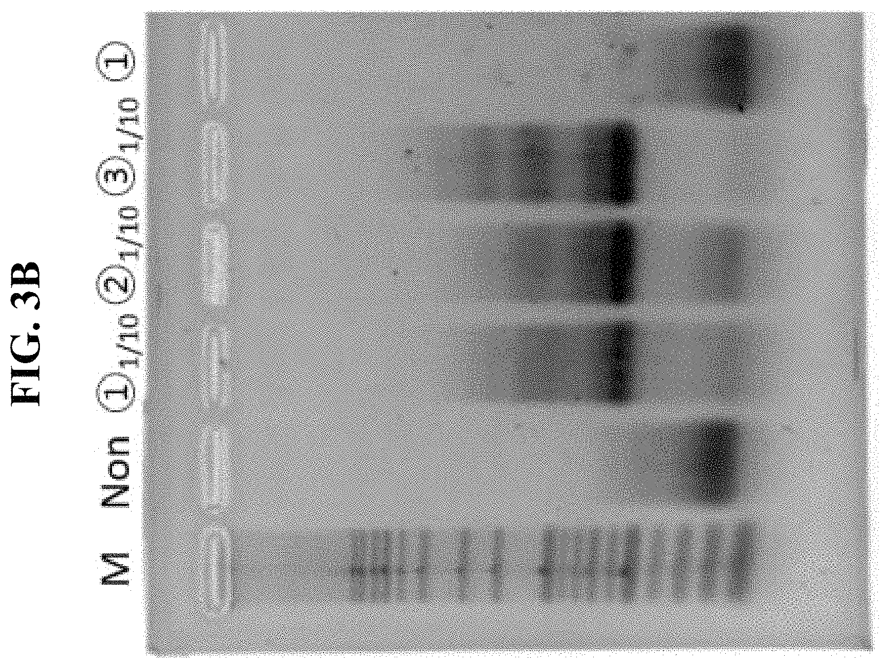 Patent US11781132 Figure 6 – DNA extraction method using microwave for next generation sequencing and use thereof