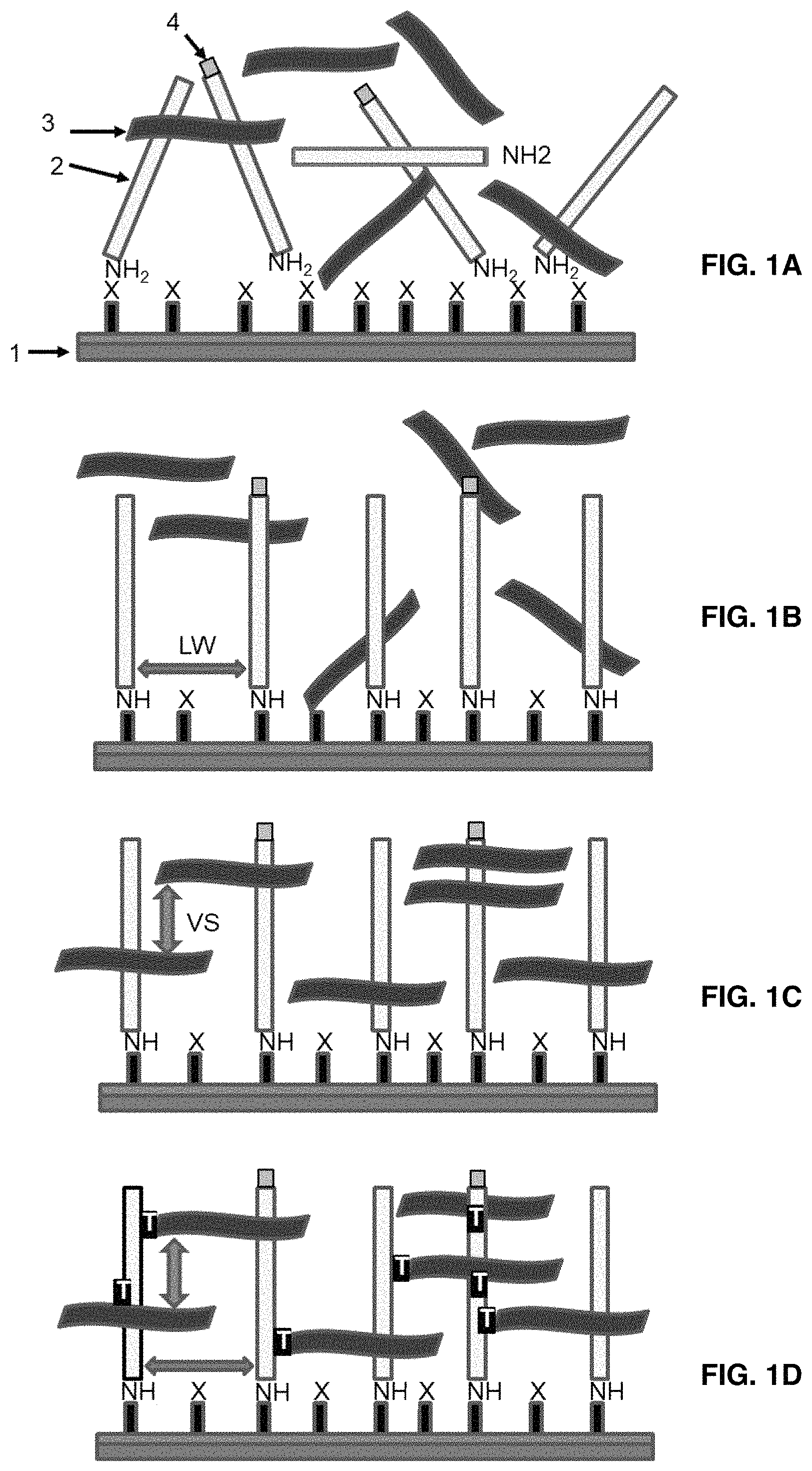 Patent US11781133 Figure 1 – Microarray based multiplex pathogen analysis and uses thereof