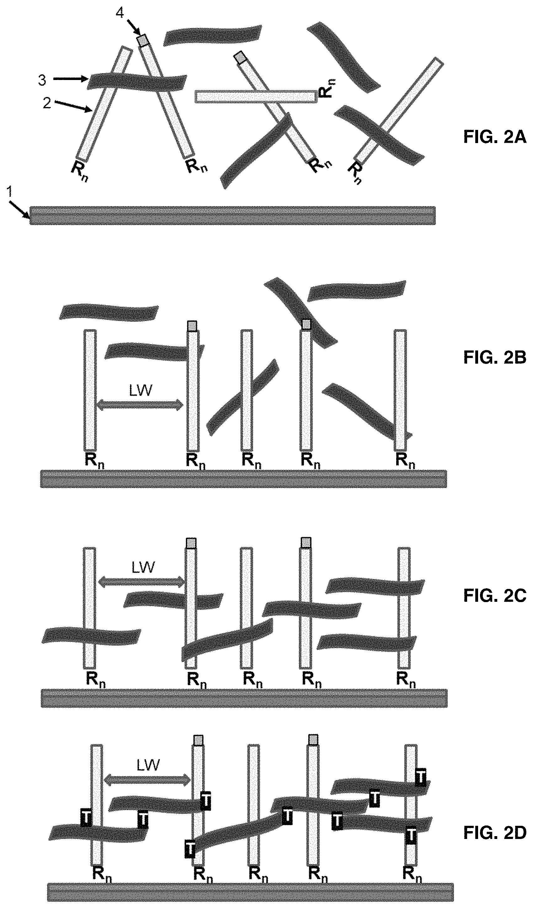 Patent US11781133 Figure 2 – Microarray based multiplex pathogen analysis and uses thereof