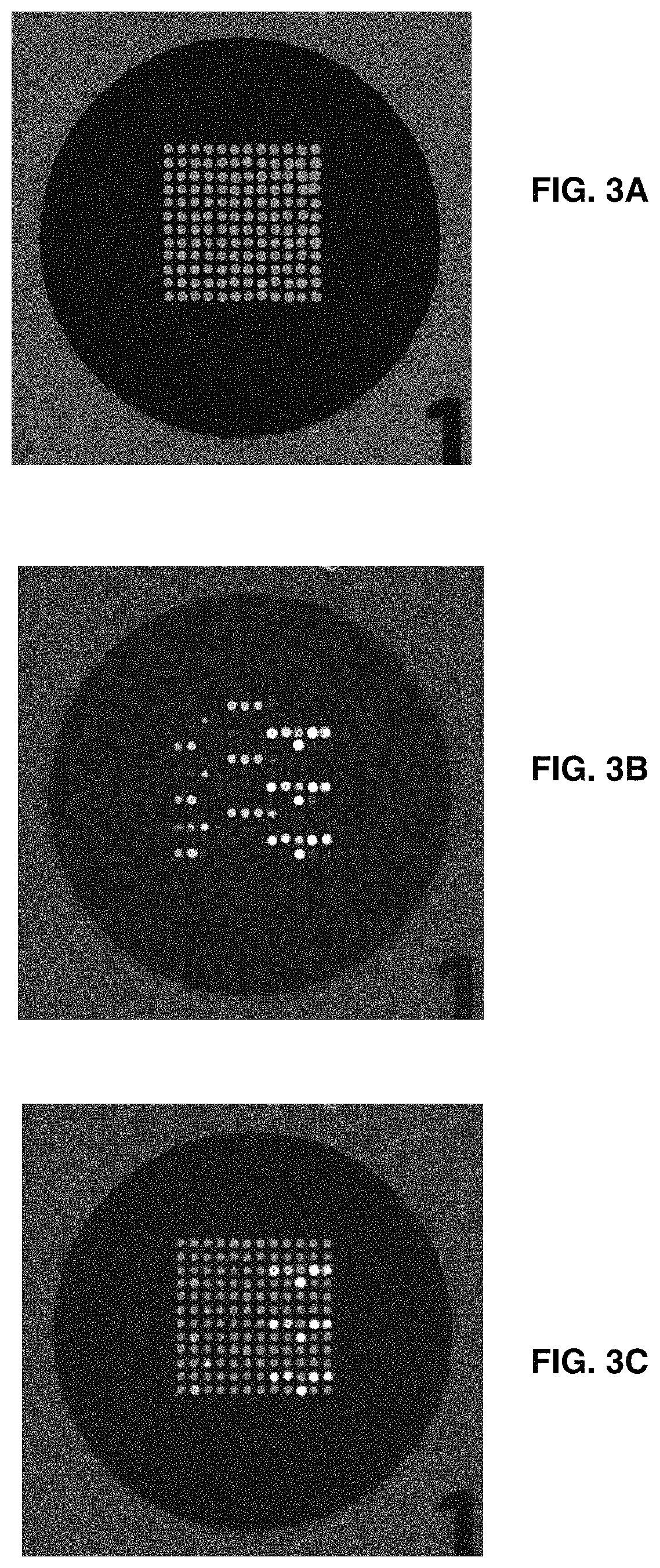 Patent US11781133 Figure 3 – Microarray based multiplex pathogen analysis and uses thereof