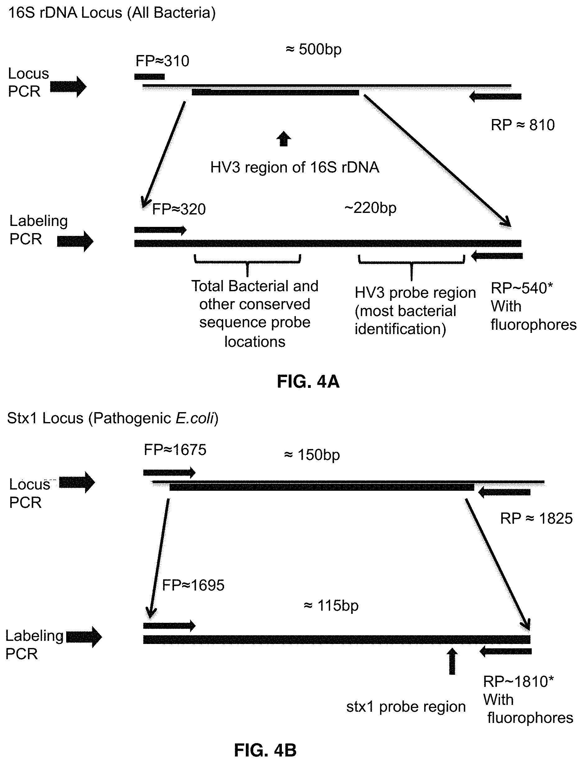 Patent US11781133 Figure 4 – Microarray based multiplex pathogen analysis and uses thereof