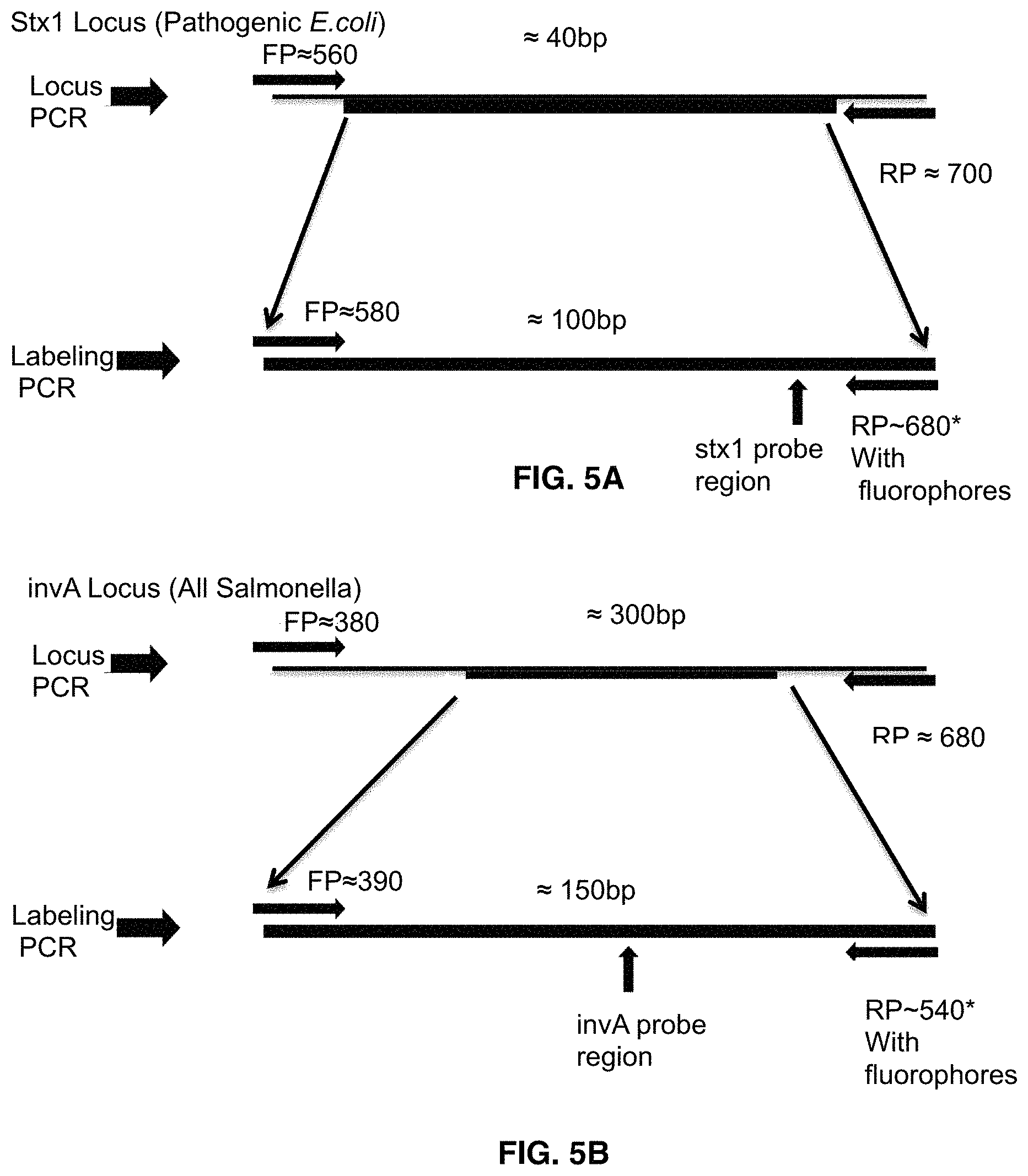 Patent US11781133 Figure 5 – Microarray based multiplex pathogen analysis and uses thereof