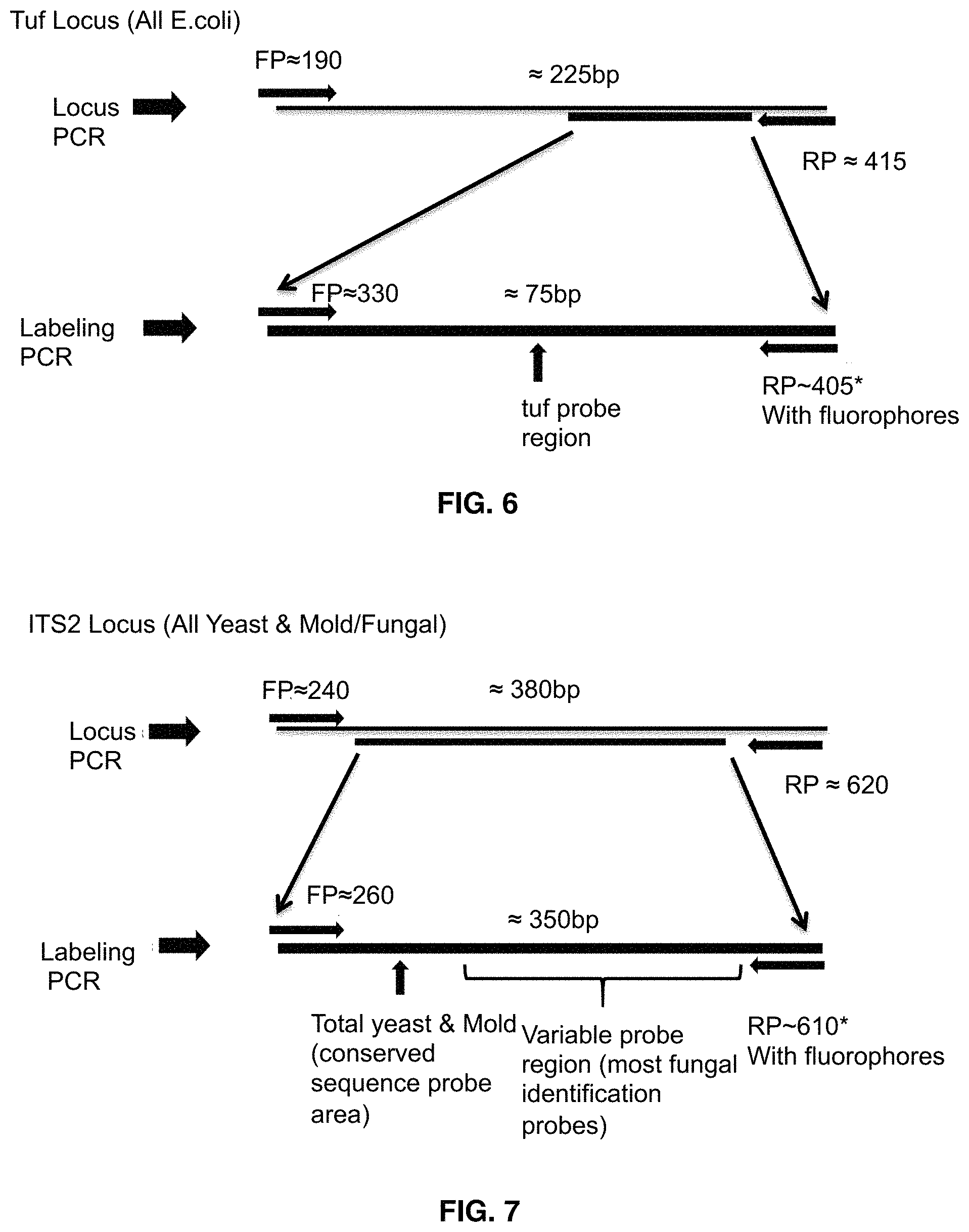 Patent US11781133 Figure 6 – Microarray based multiplex pathogen analysis and uses thereof
