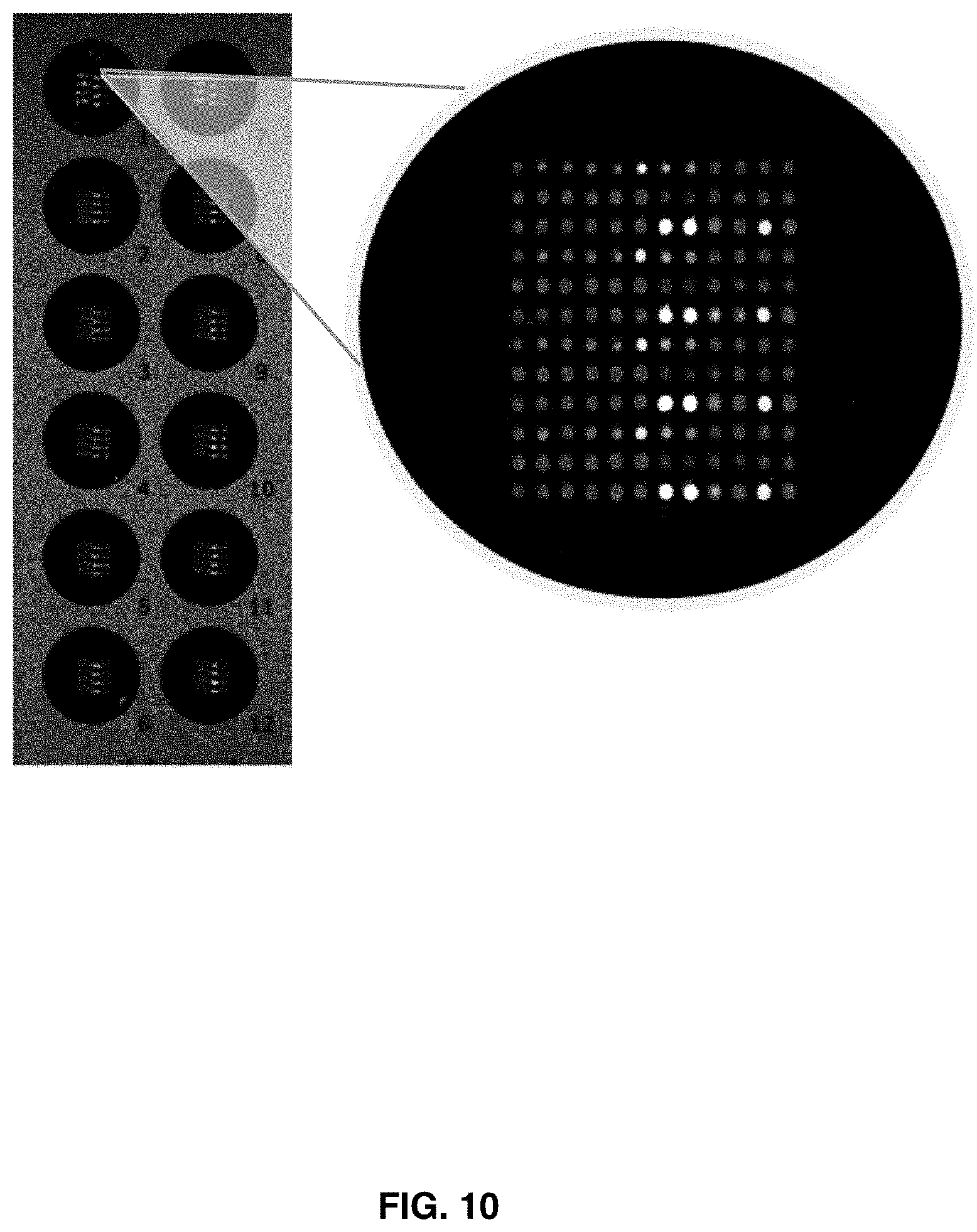 Patent US11781133 Figure 8 – Microarray based multiplex pathogen analysis and uses thereof