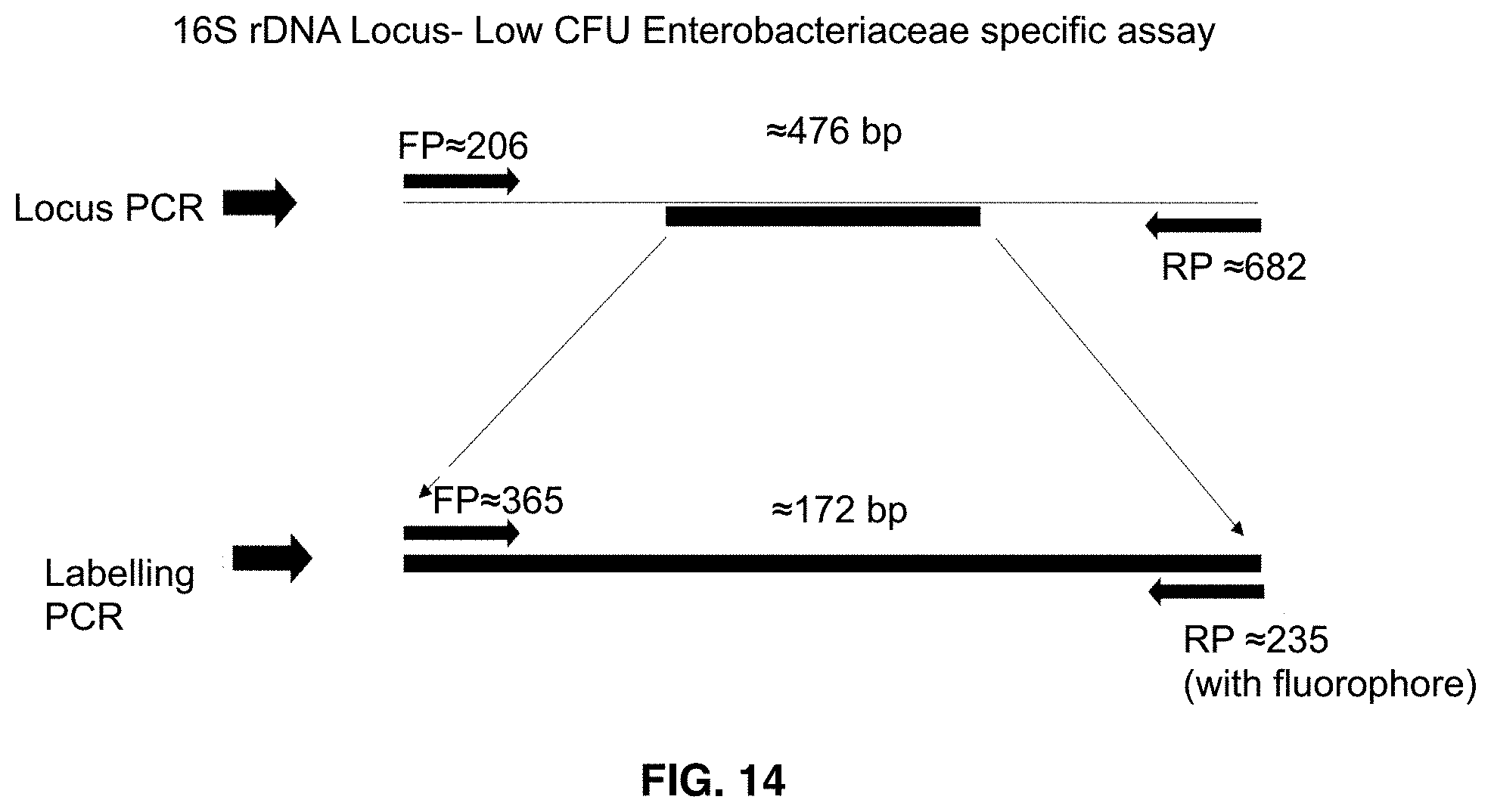 Patent US11781133 Figure 13 – Microarray based multiplex pathogen analysis and uses thereof