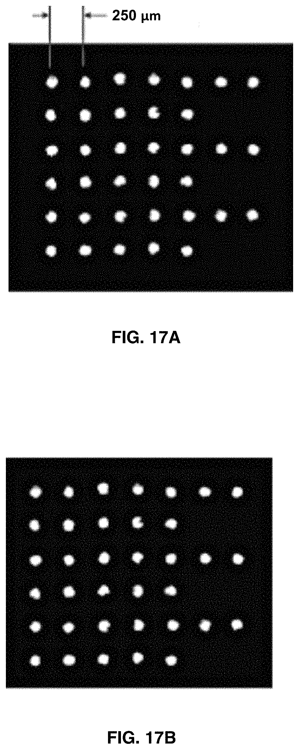 Patent US11781133 Figure 18 – Microarray based multiplex pathogen analysis and uses thereof