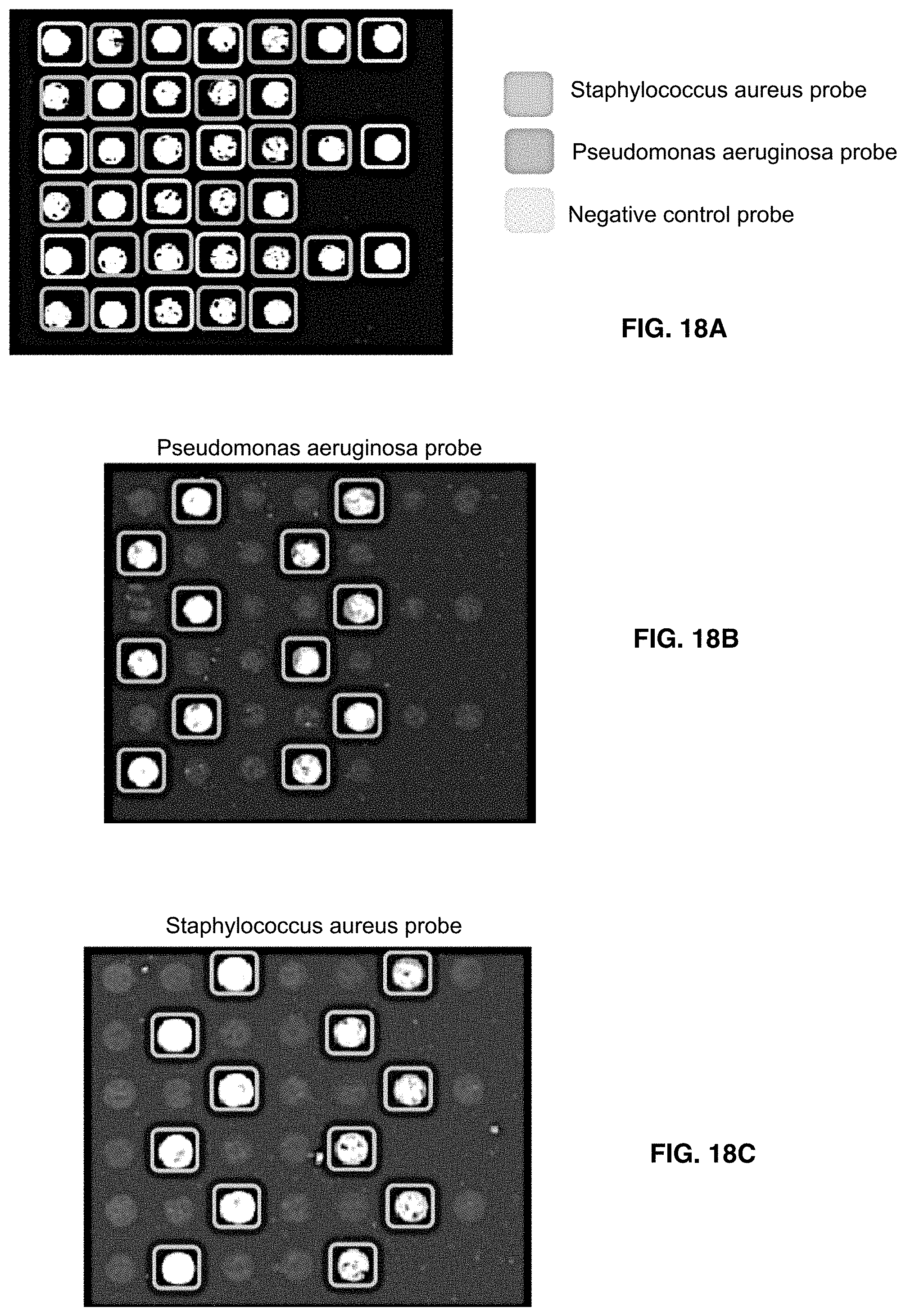 Patent US11781133 Figure 19 – Microarray based multiplex pathogen analysis and uses thereof