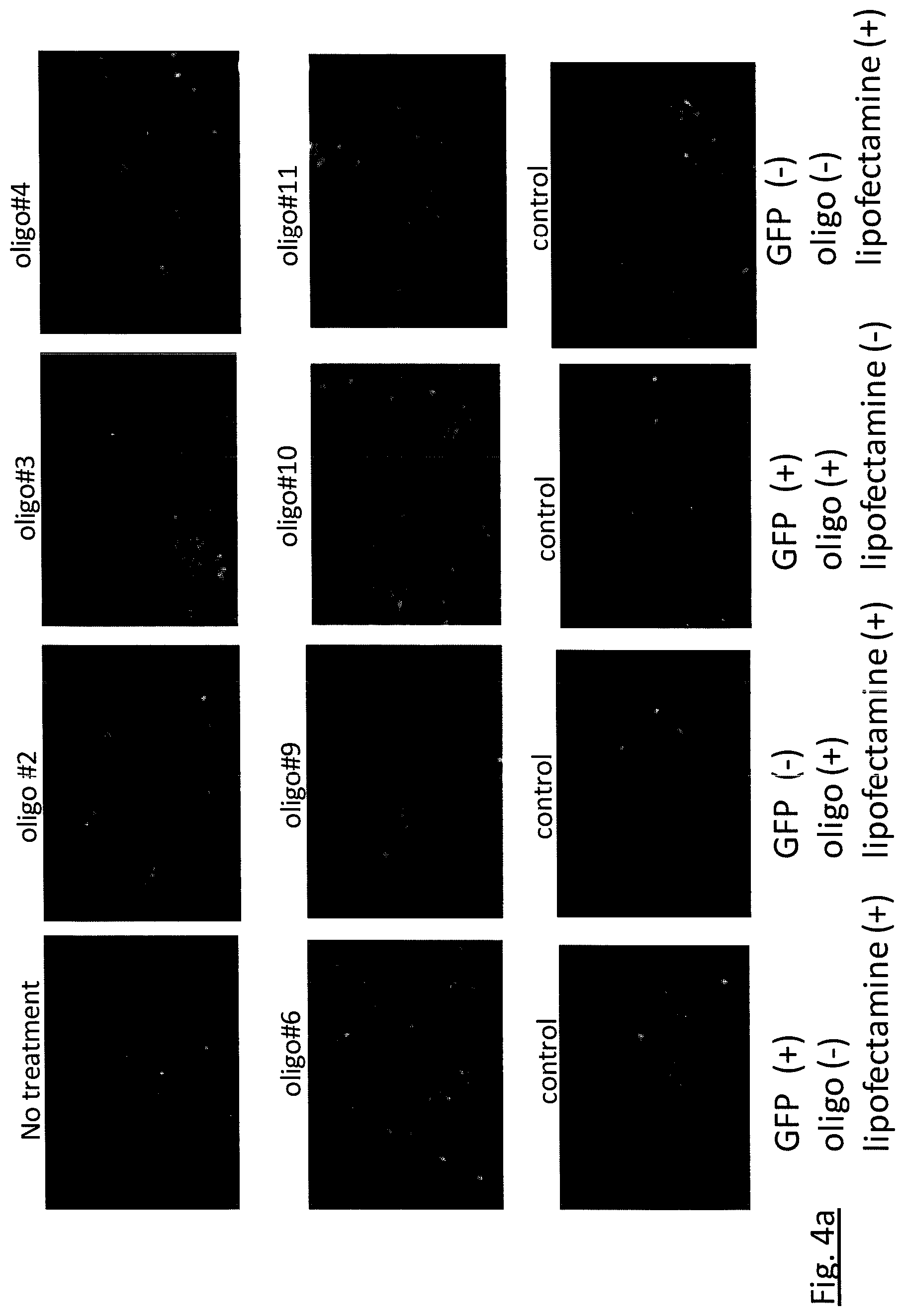 Patent US11781134 Figure 4 – Targeted RNA editing