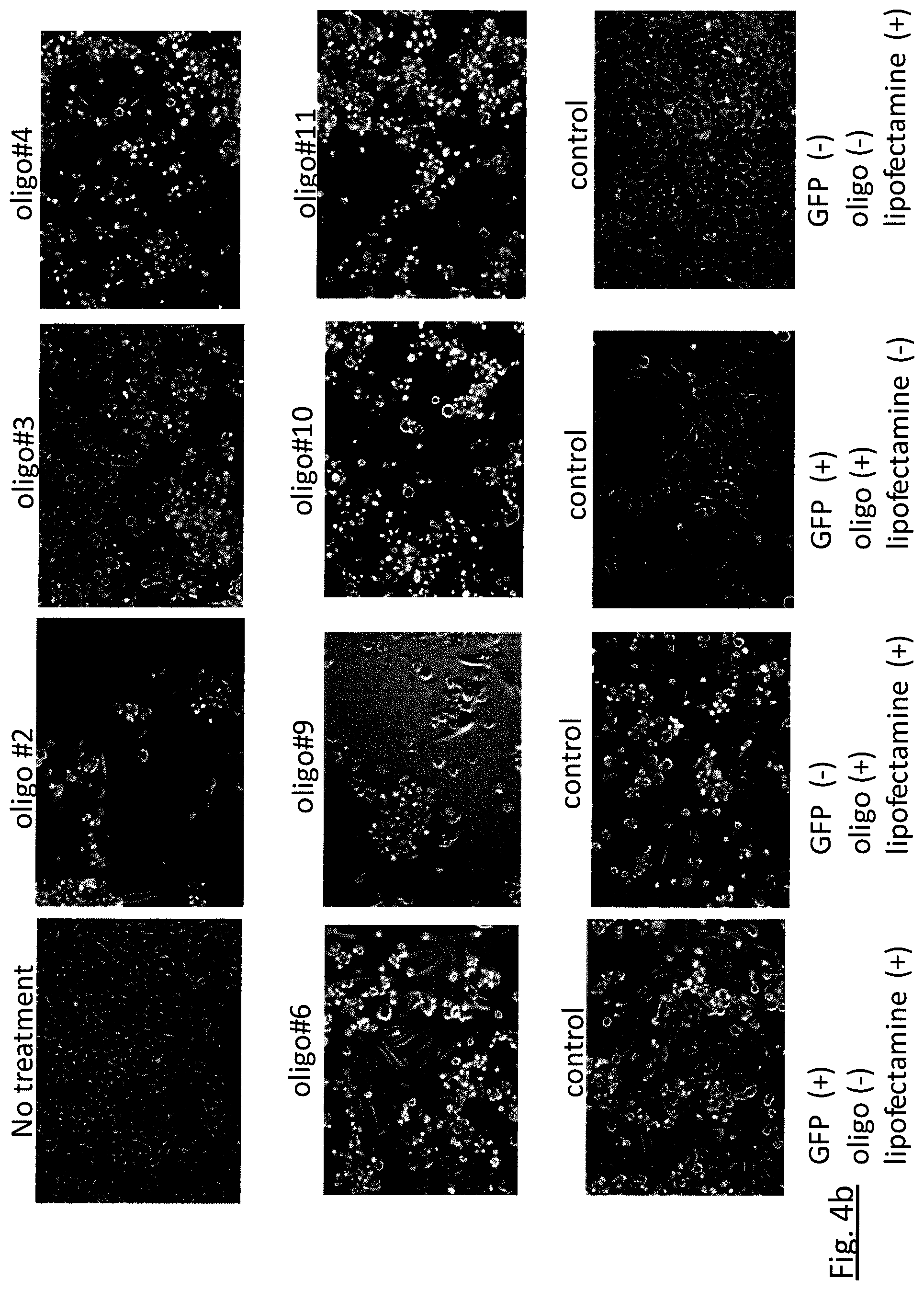 Patent US11781134 Figure 5 – Targeted RNA editing