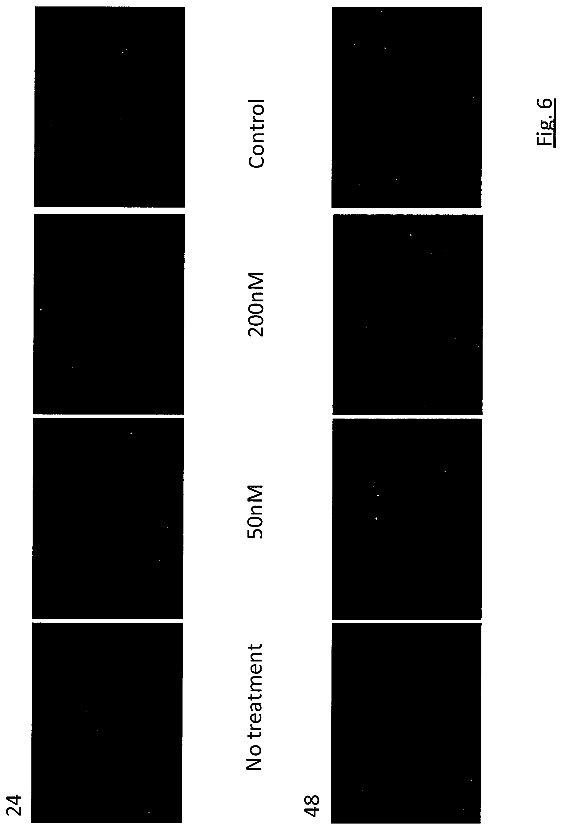 Patent US11781134 Figure 7 – Targeted RNA editing