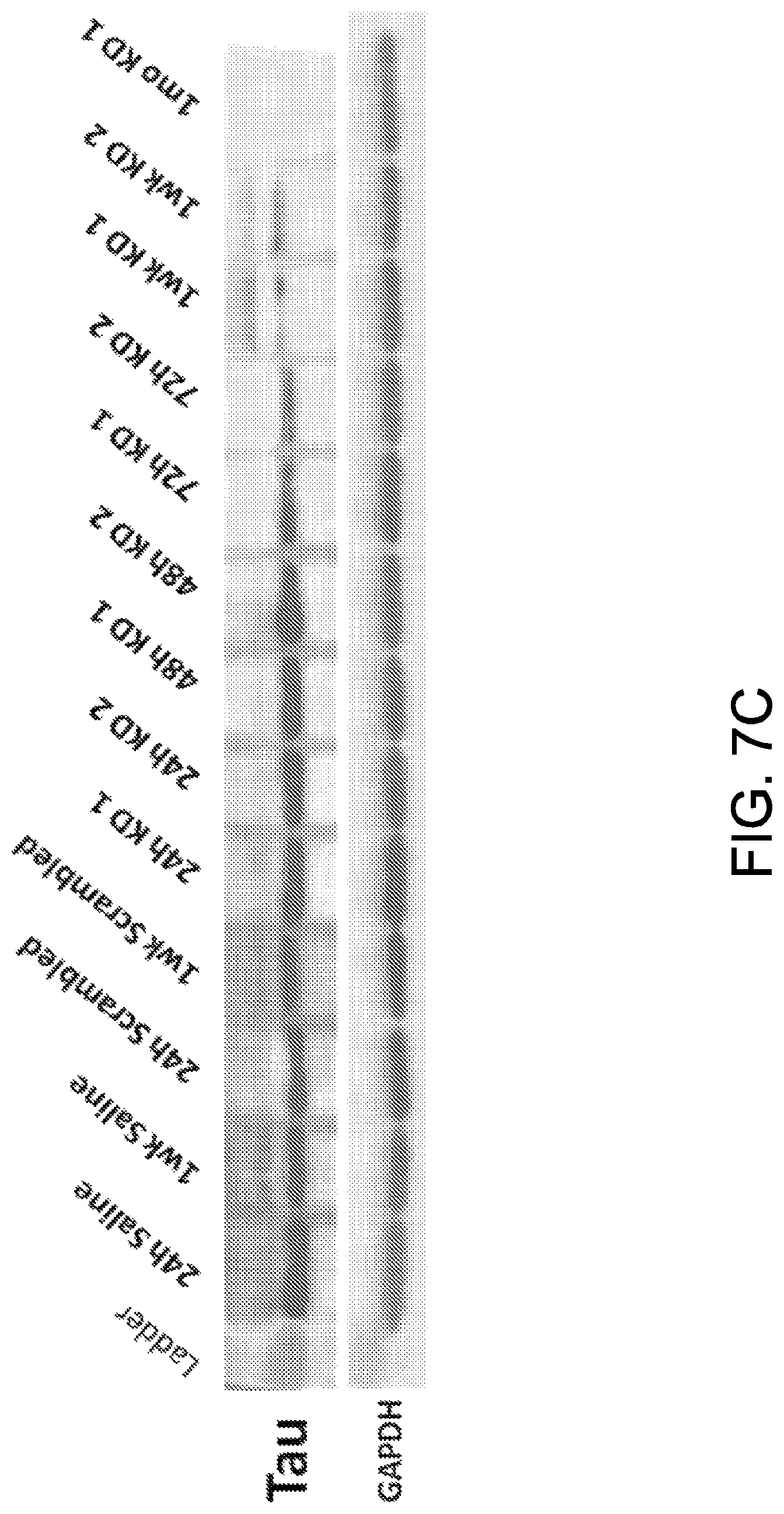 Patent US11781135 Figure 9 – Methods for treating Alzheimer's disease